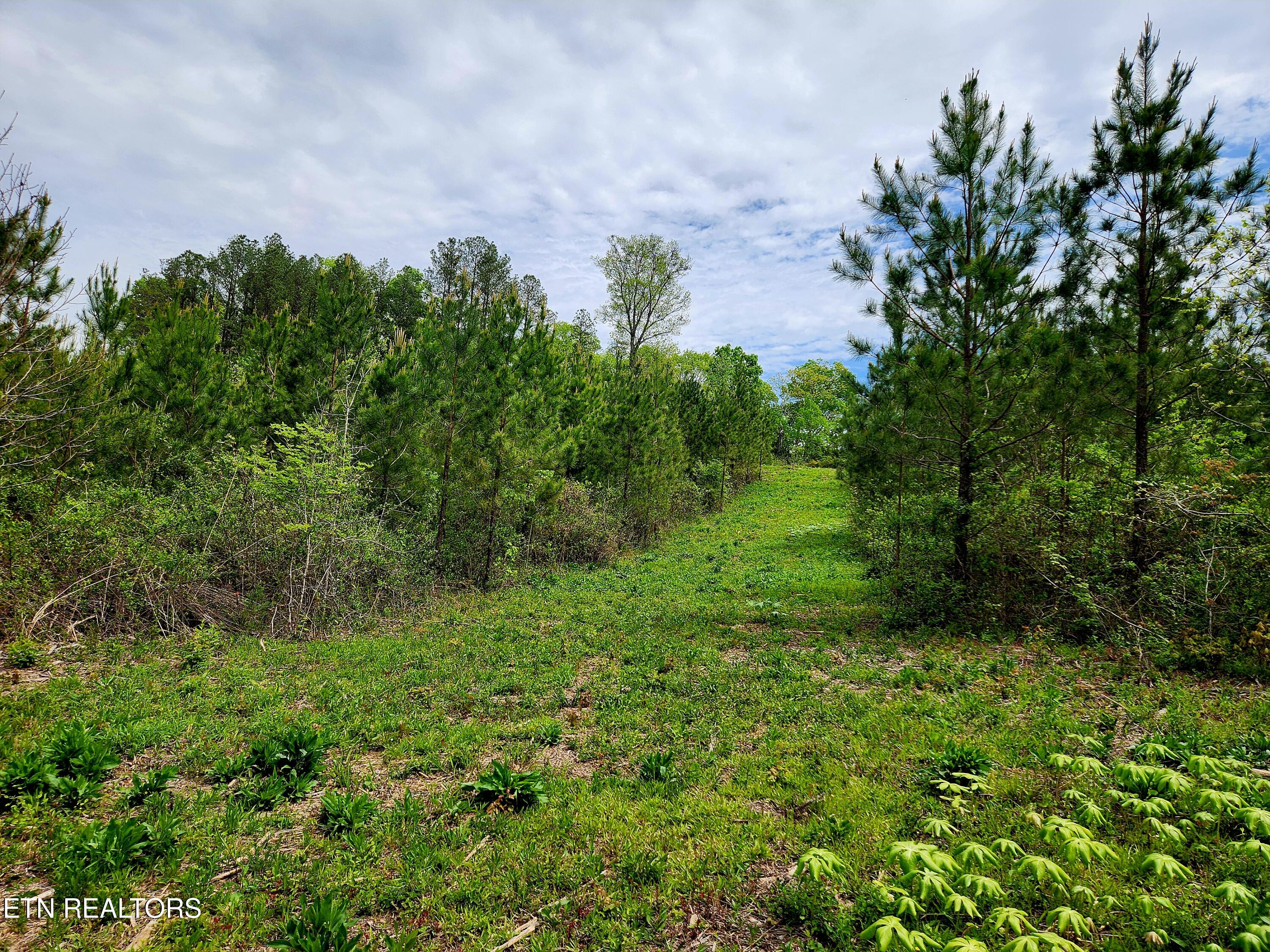 Lot 6 Winding Trail Madisonville TN 37354