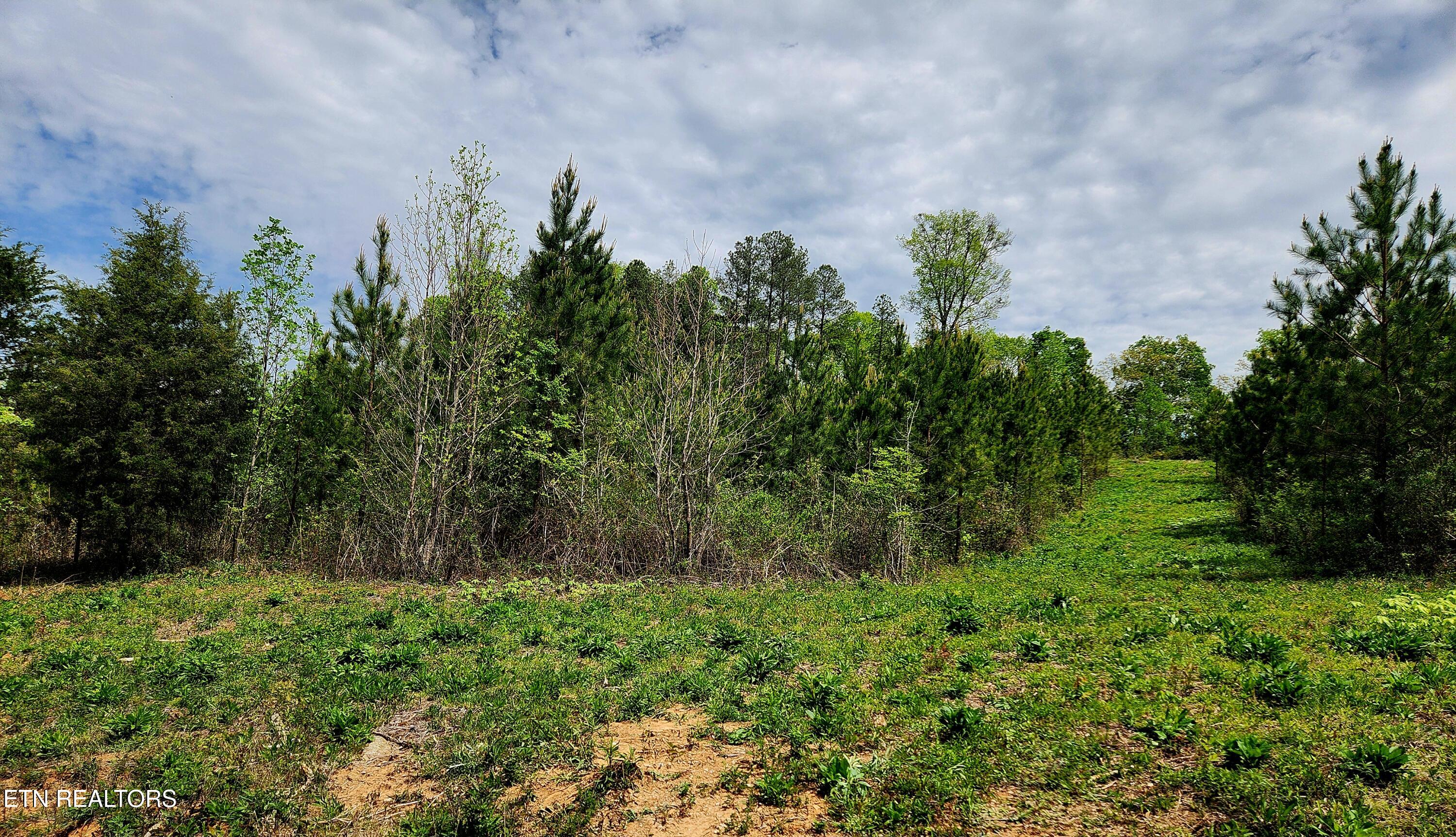 Lot 6 Winding Trail Madisonville TN 37354