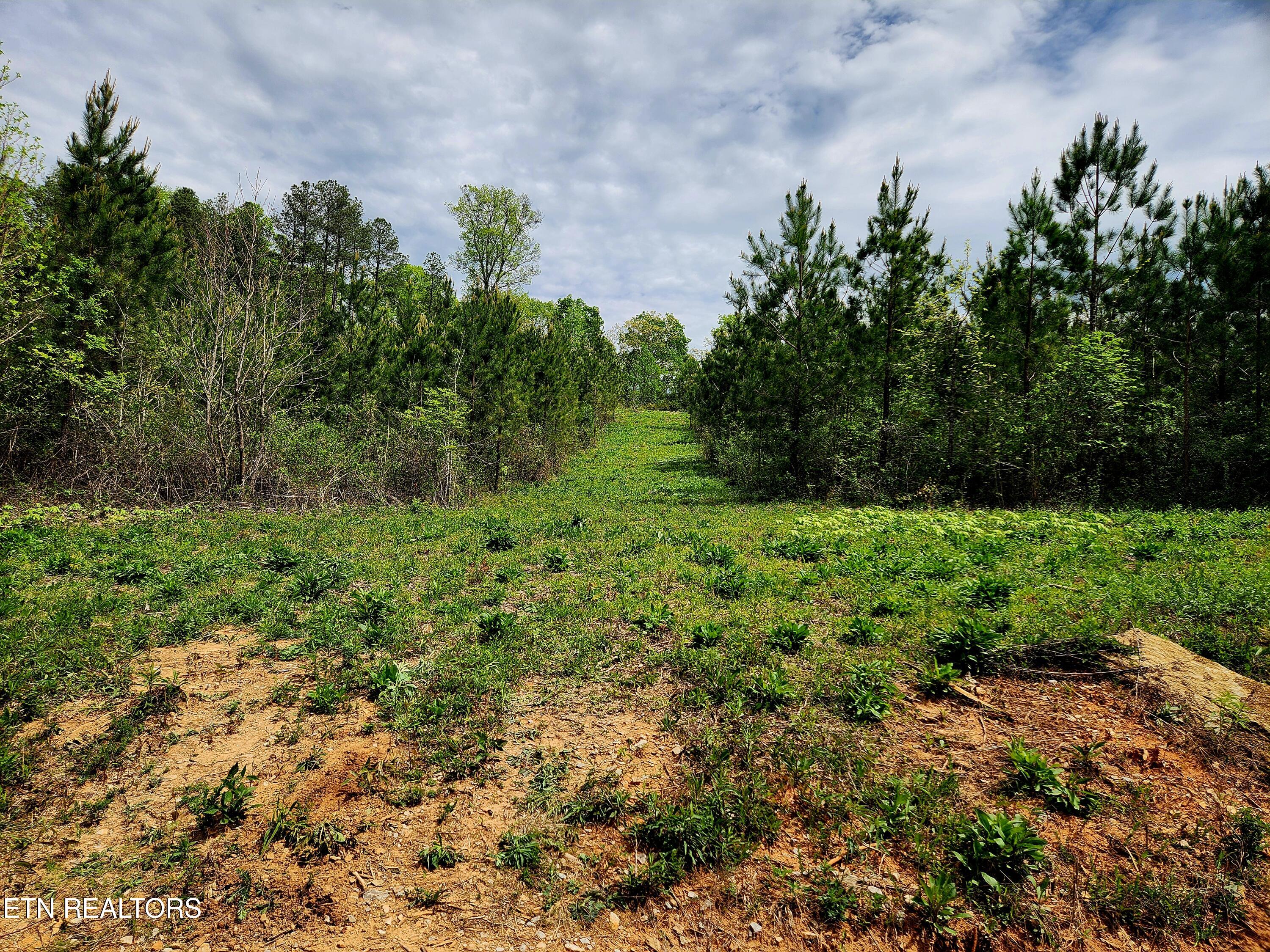 Lot 6 Winding Trail Madisonville TN 37354