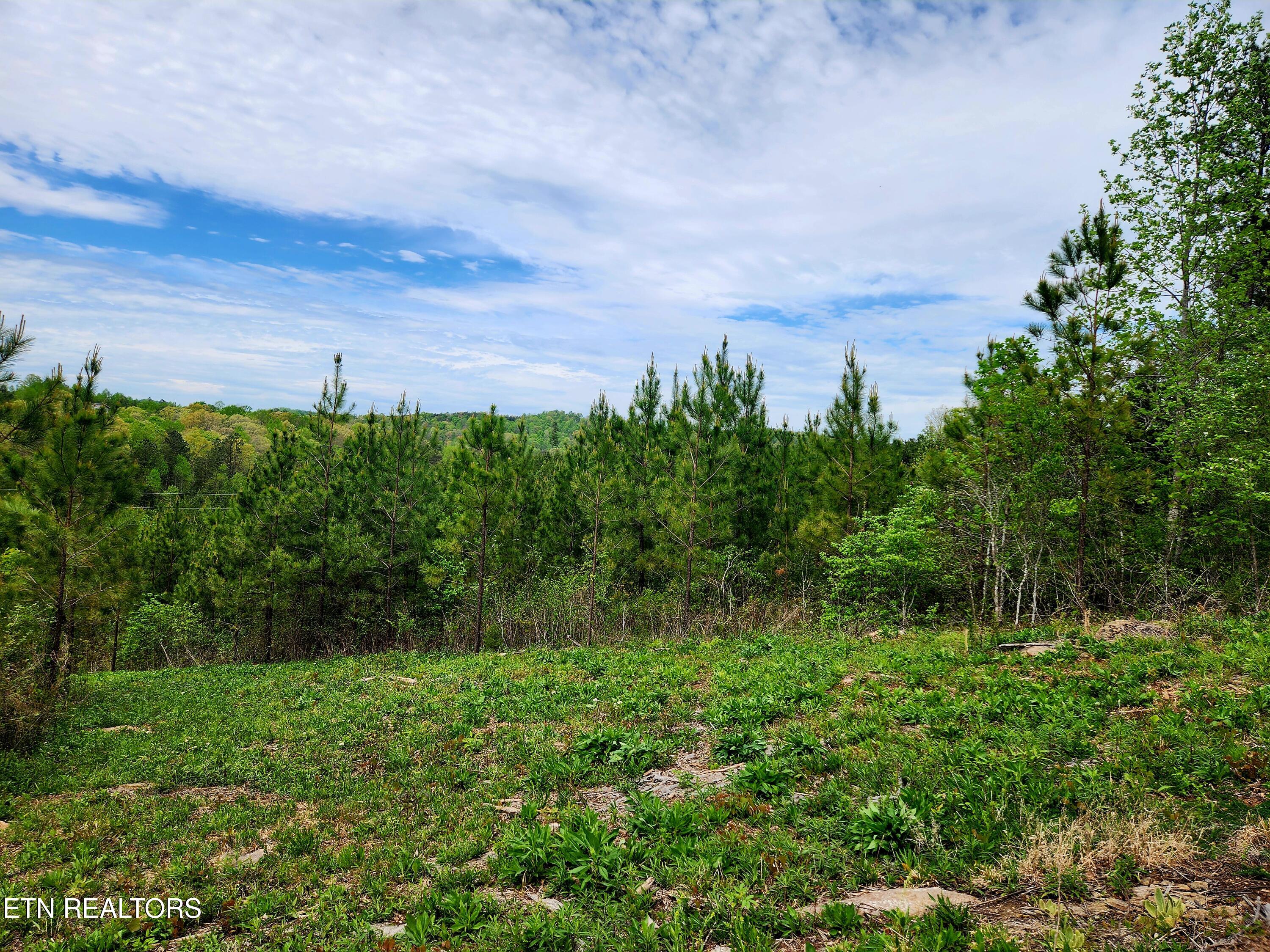 Lot 6 Winding Trail Madisonville TN 37354