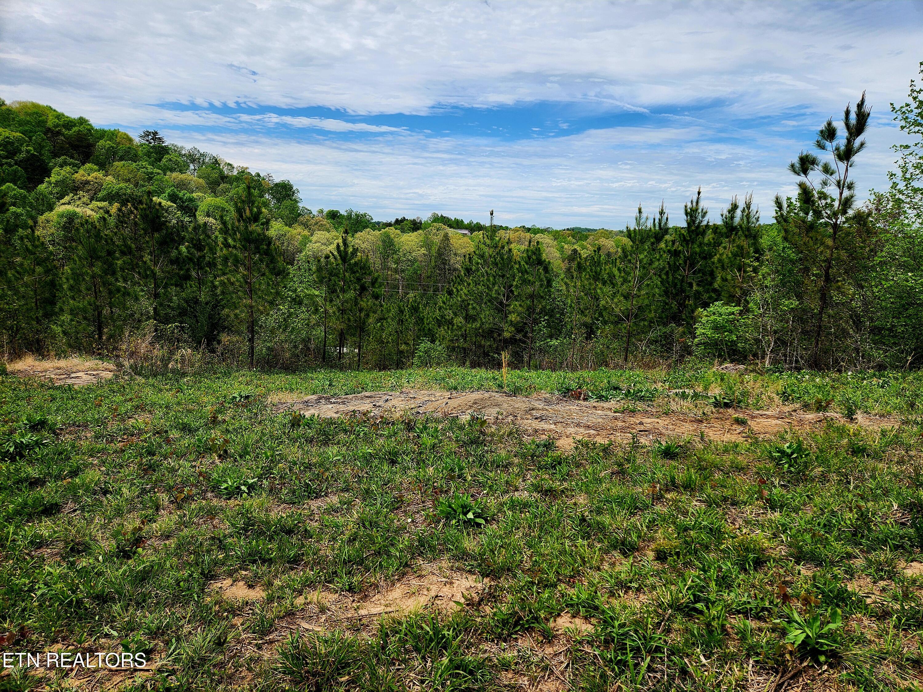 Lot 6 Winding Trail Madisonville TN 37354