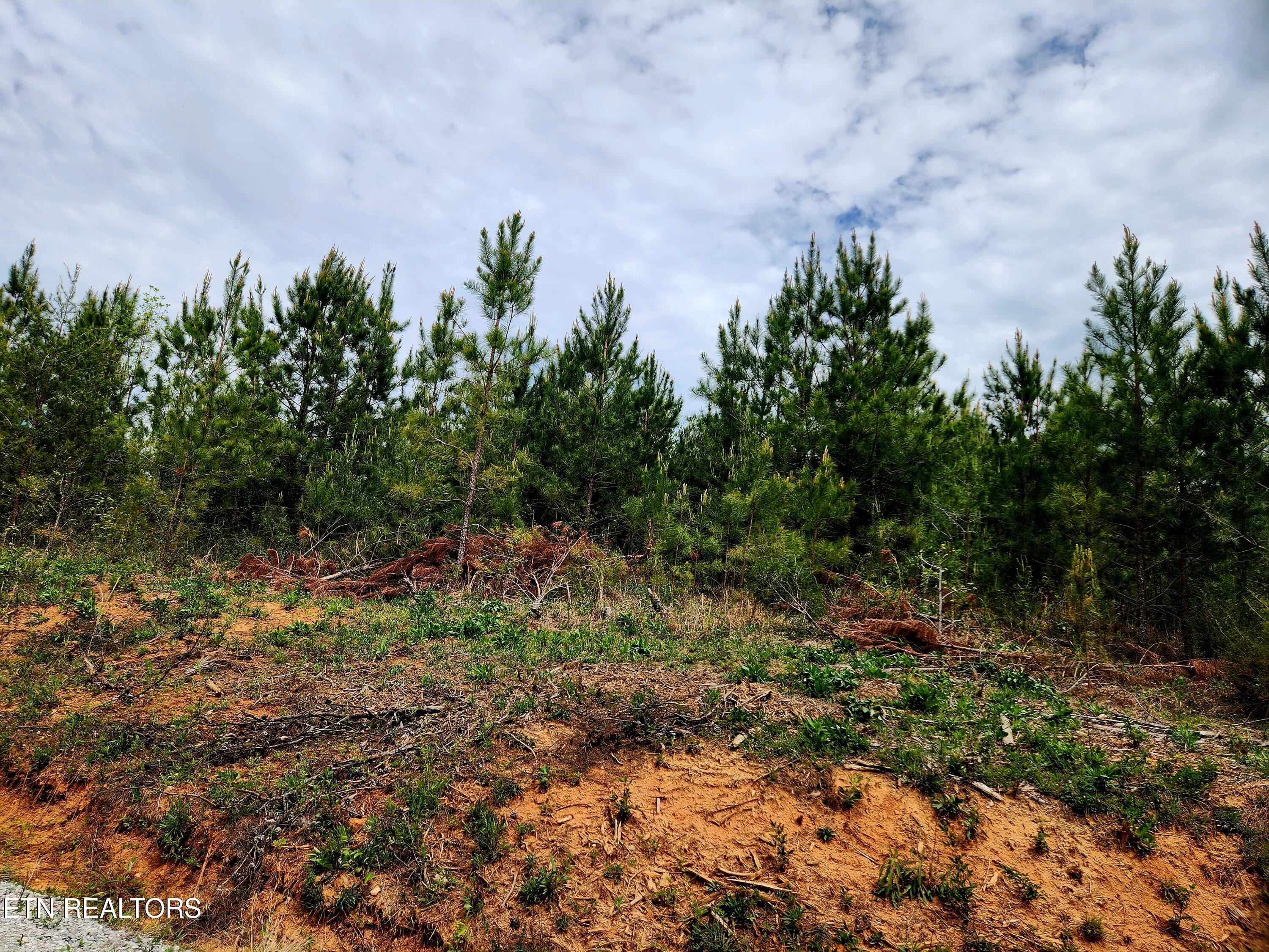 Lot 6 Winding Trail Madisonville TN 37354