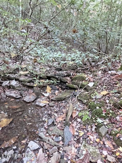 50+- Acres Dogwood Road Grandview TN 37337