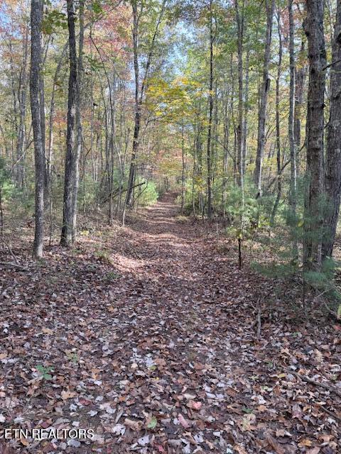 50+- Acres Dogwood Road Grandview TN 37337