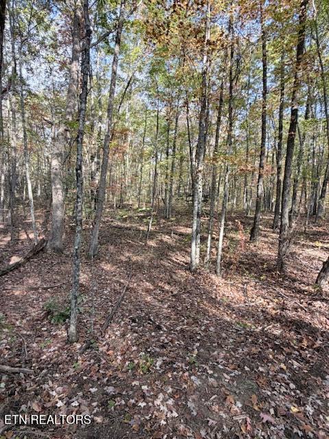 50+- Acres Dogwood Road Grandview TN 37337