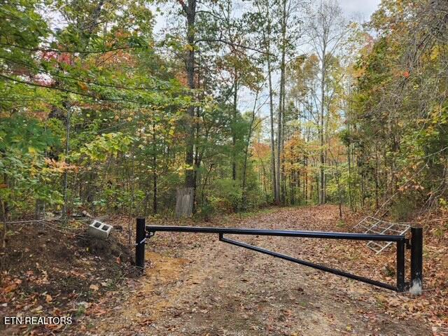 50+- Acres Dogwood Road Grandview TN 37337