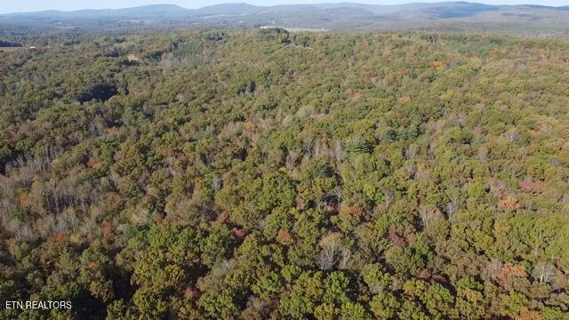 50+- Acres Dogwood Road Grandview TN 37337