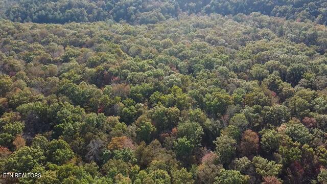 50+- Acres Dogwood Road Grandview TN 37337