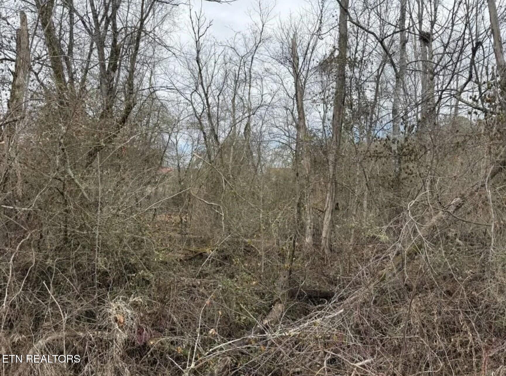 Balboa Drive Rockwood TN 37854