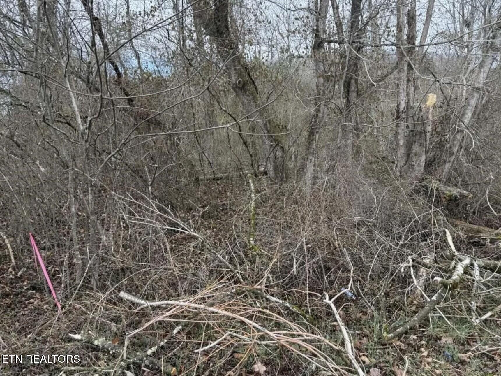 Balboa Drive Rockwood TN 37854