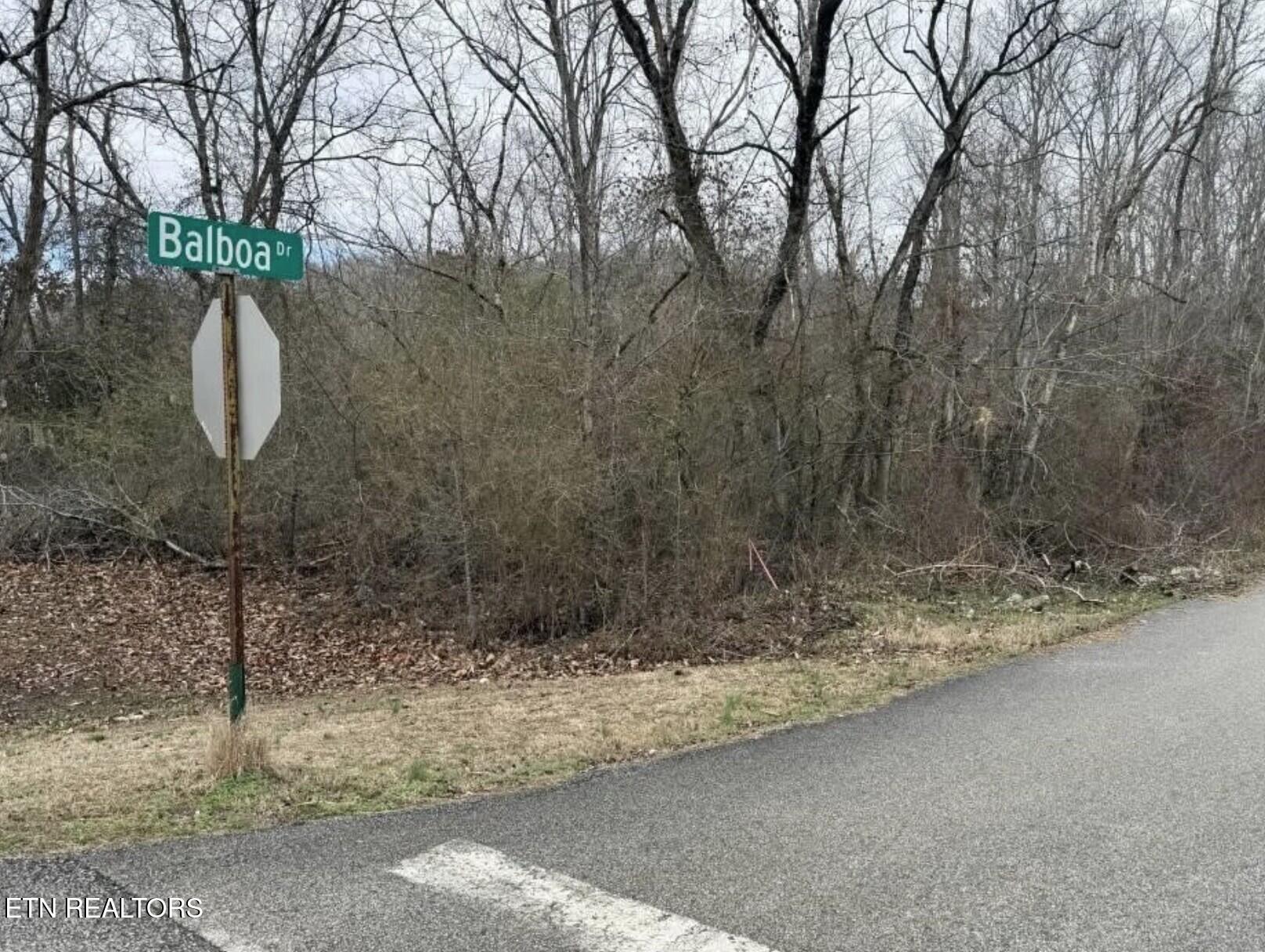 Balboa Drive Rockwood TN 37854