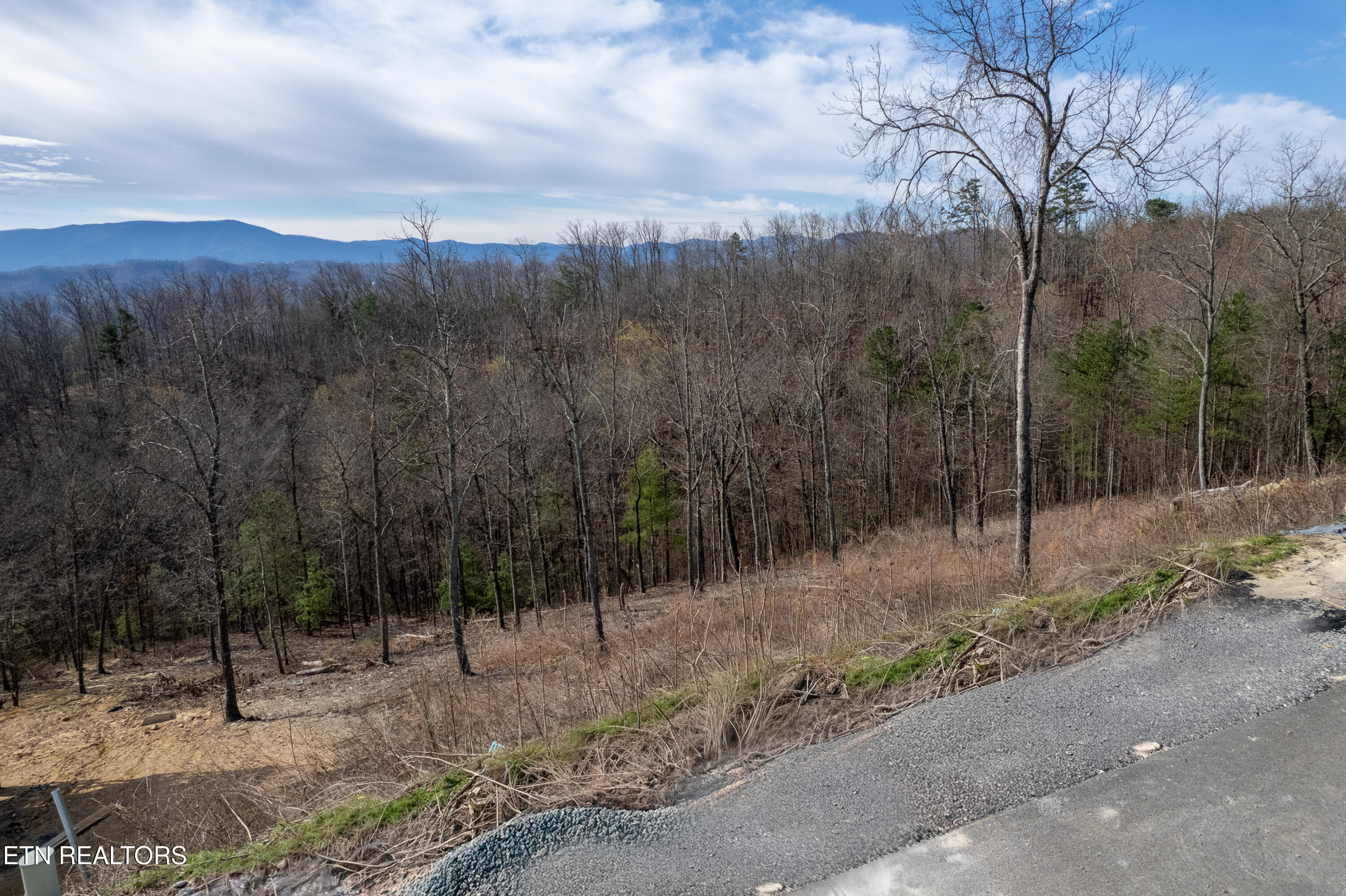 Lot 102 Laurel Cove Trail Sevierville TN 37862