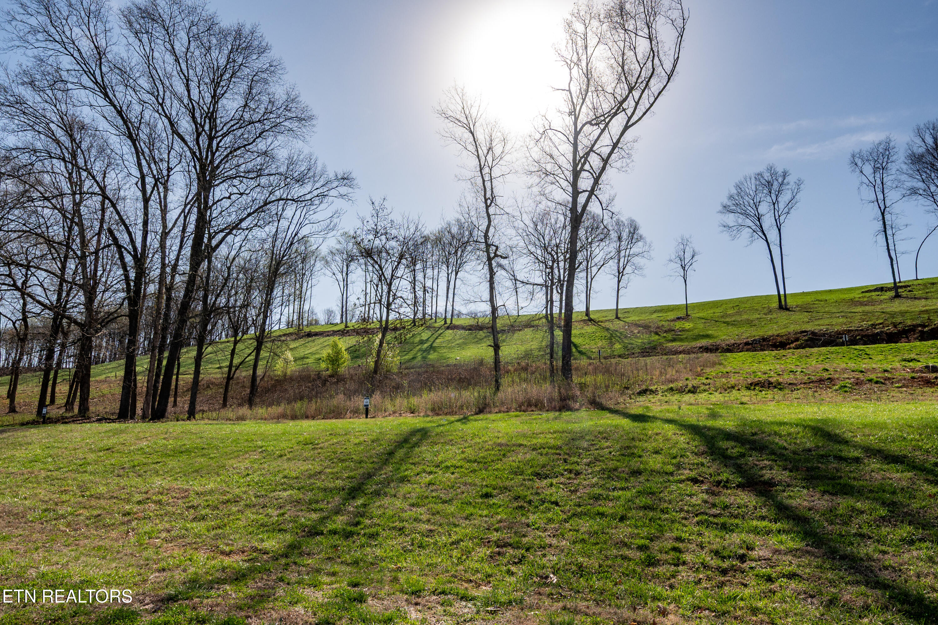 967 Black Cove Lane Loudon TN 37774