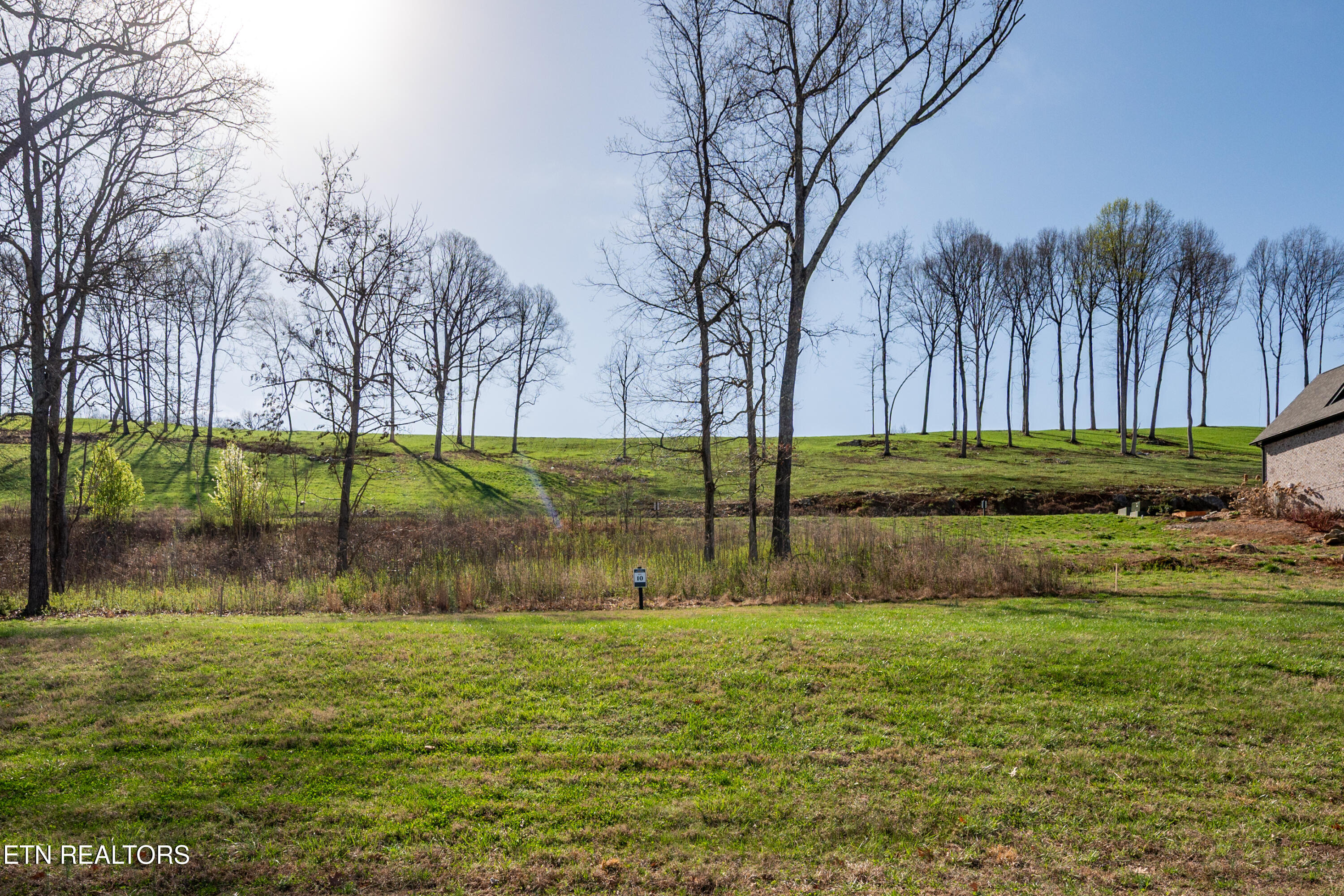 967 Black Cove Lane Loudon TN 37774