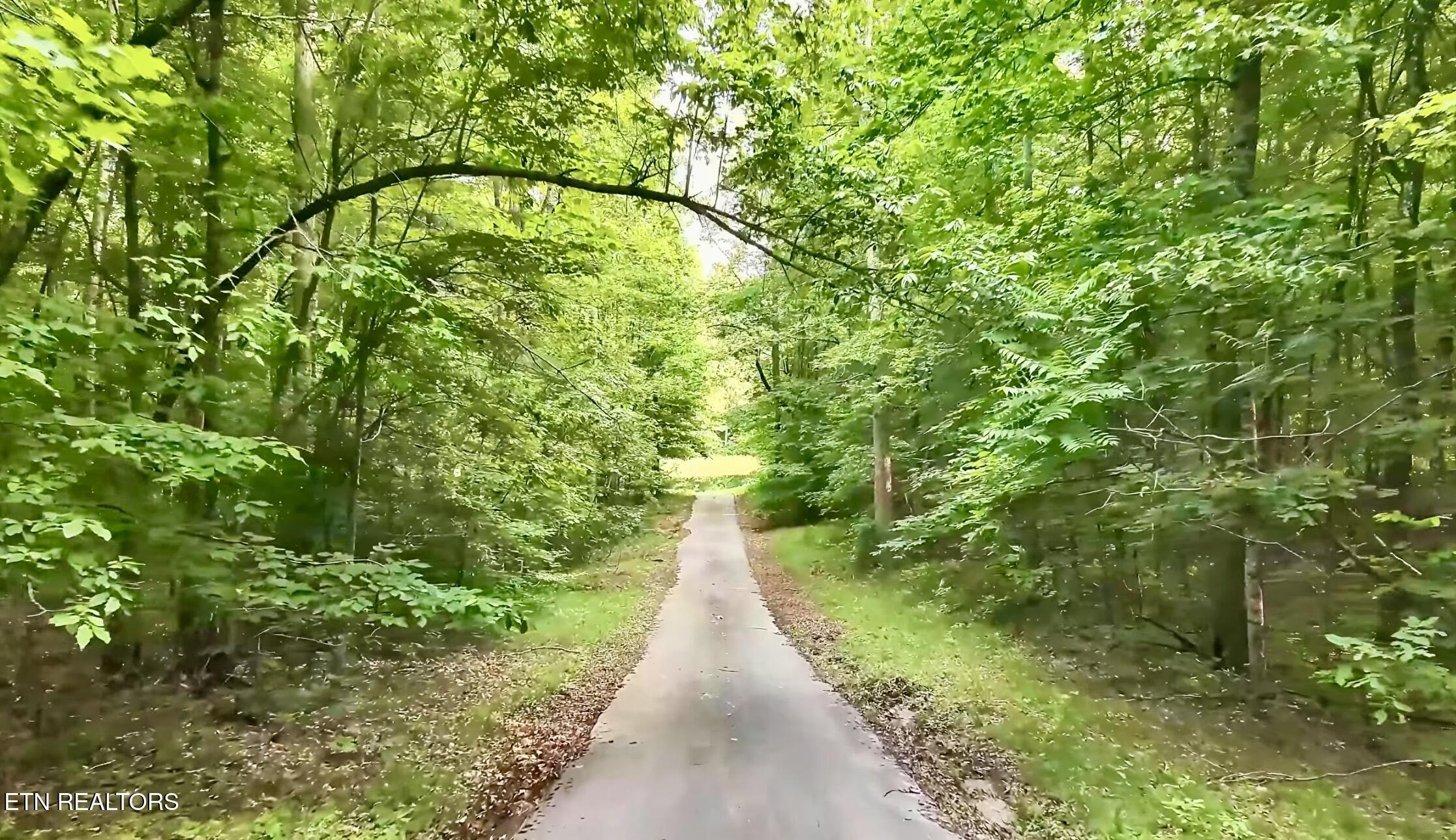 Wallace Real Estate - Lakeside