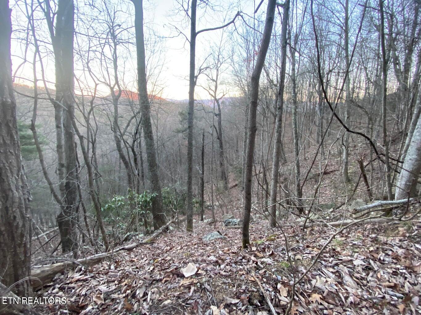 Lot 35 Elderberry Drive Sevierville TN 37876