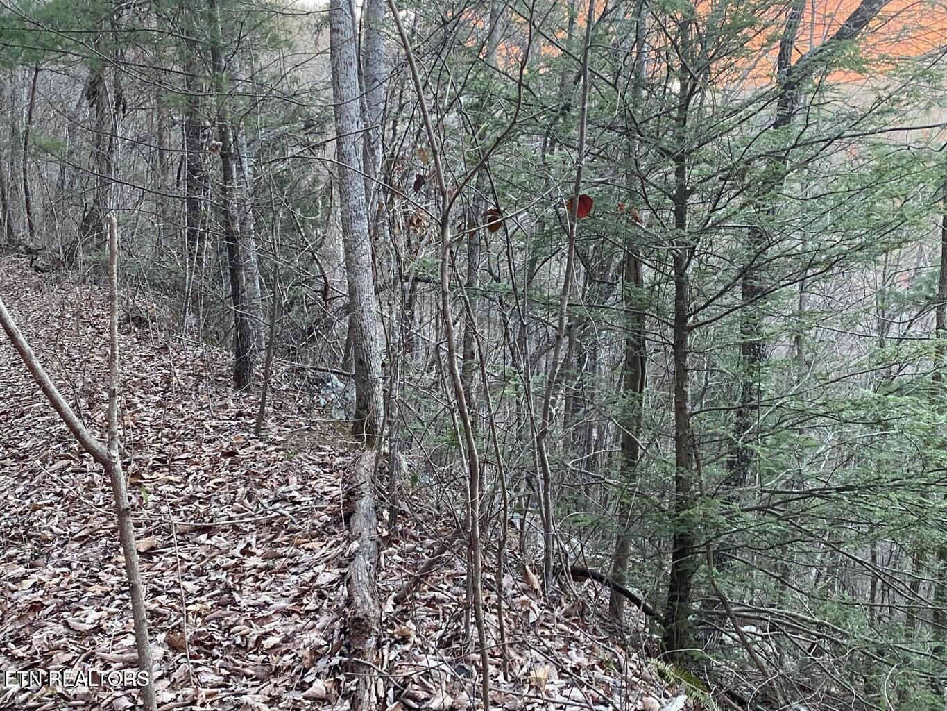 Lot 35 Elderberry Drive Sevierville TN 37876