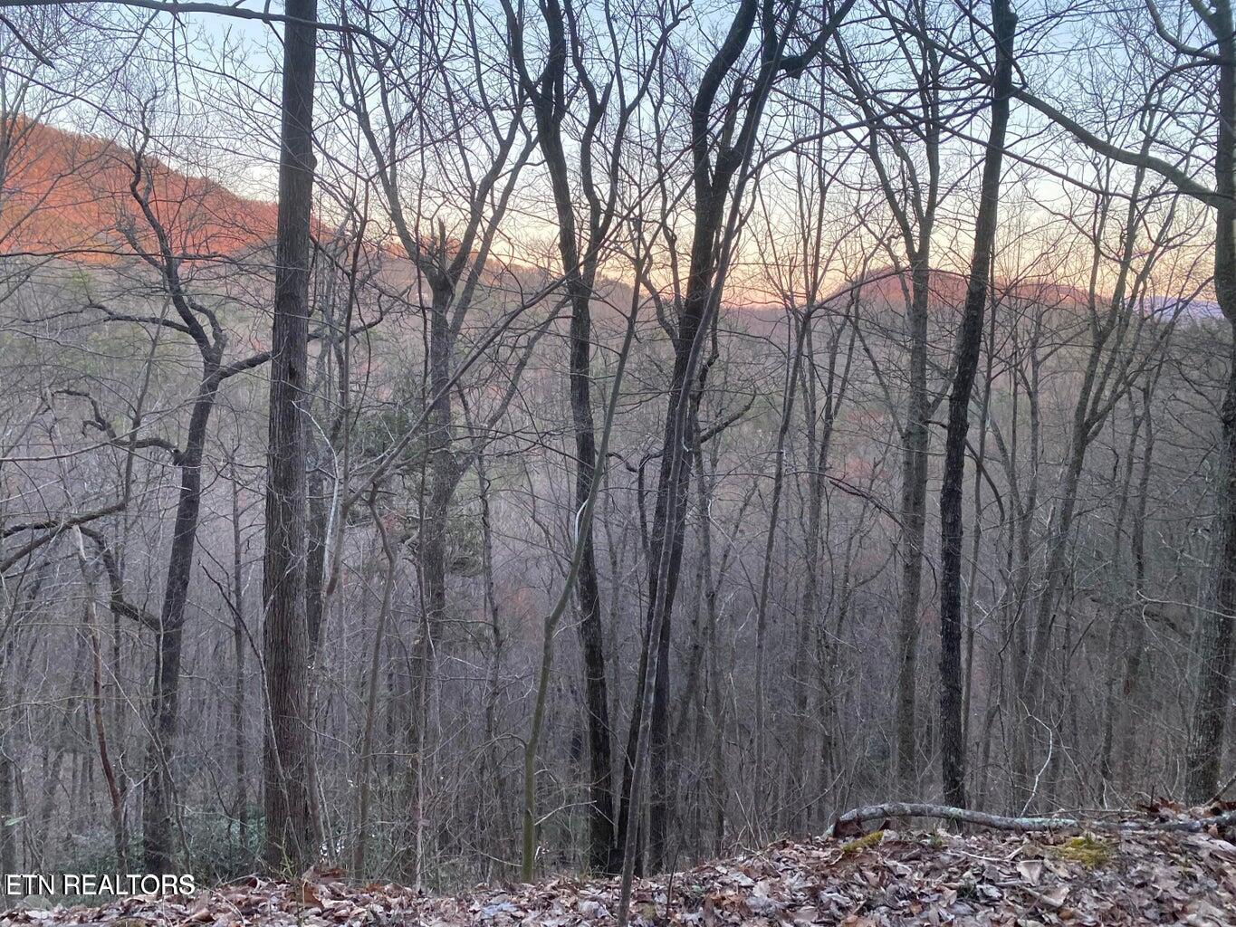 Lot 35 Elderberry Drive Sevierville TN 37876