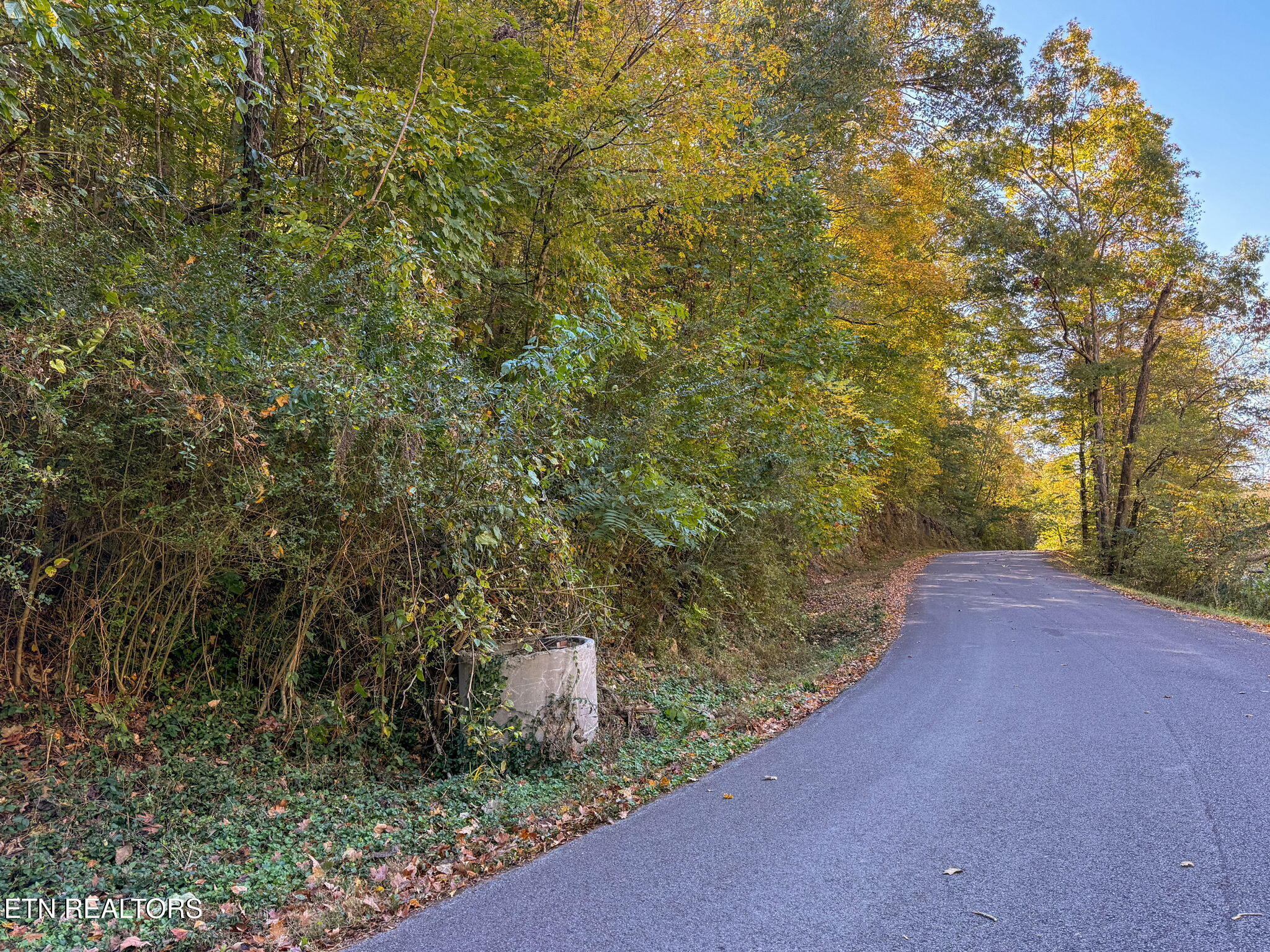 Strong Hollow Lane Rocky Top TN 37769