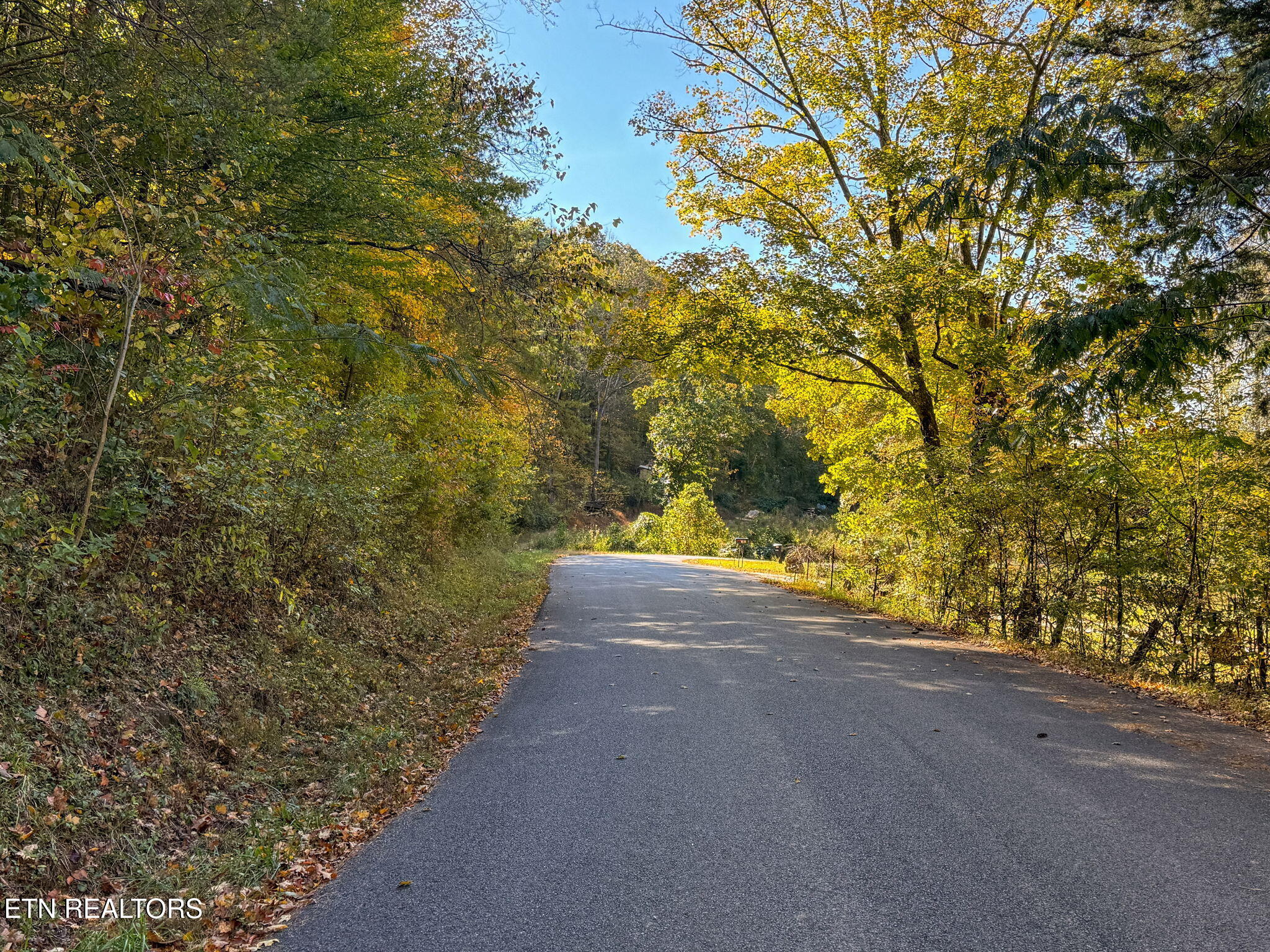 Strong Hollow Lane Rocky Top TN 37769