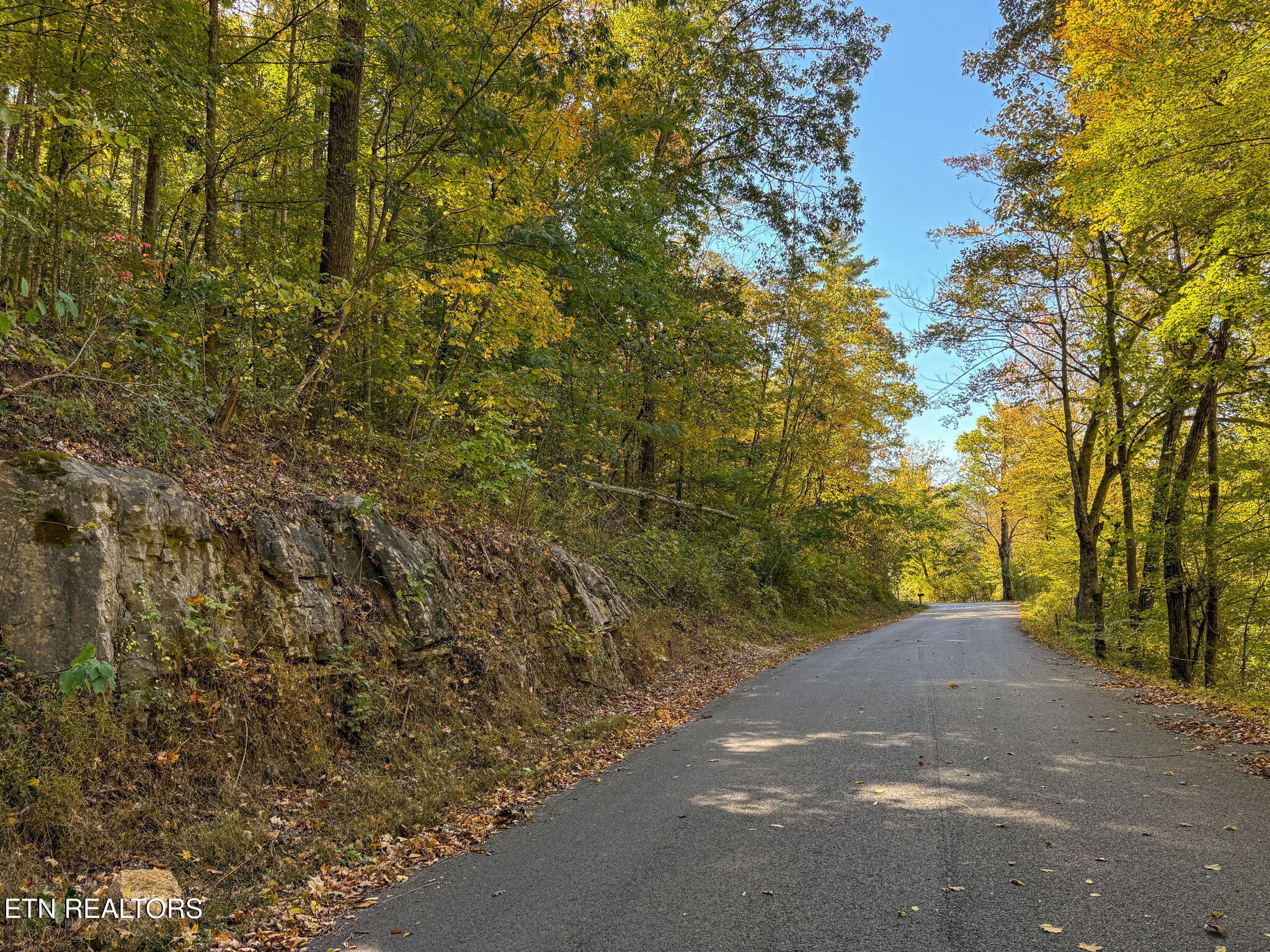 Strong Hollow Lane Rocky Top TN 37769
