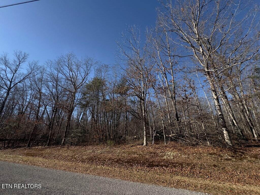0 Anne Road Monterey TN 38574