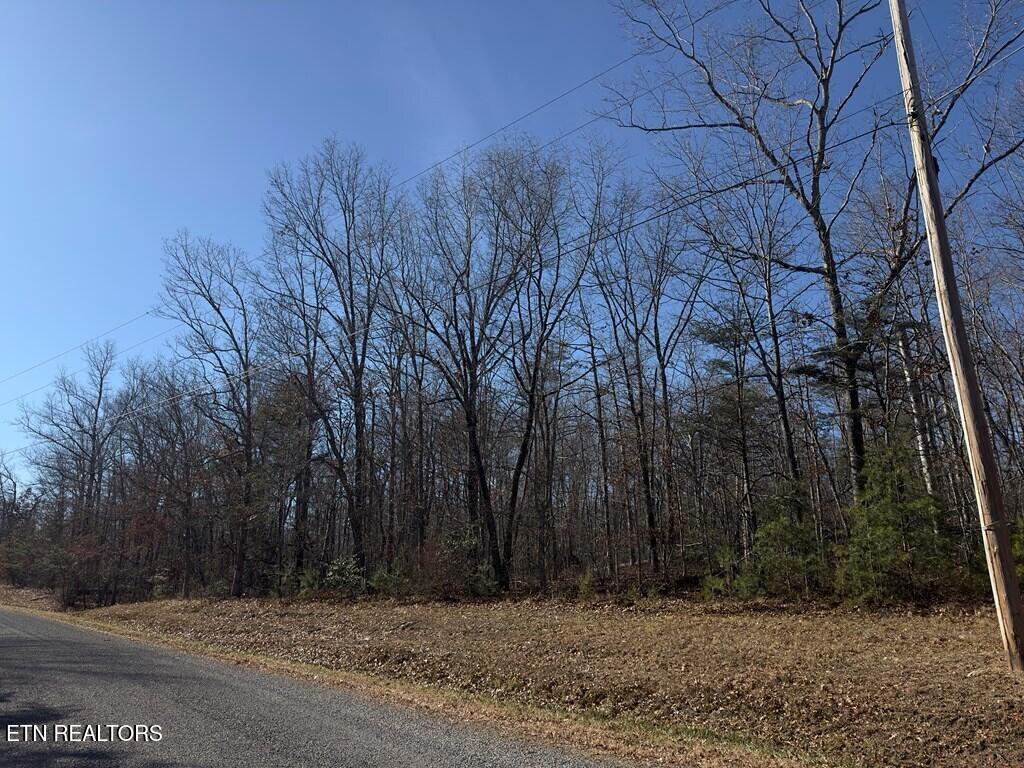 0 Anne Road Monterey TN 38574