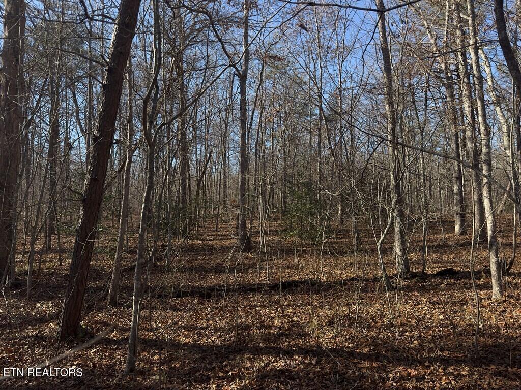 0 Anne Road Monterey TN 38574