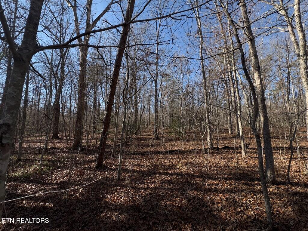 0 Anne Road Monterey TN 38574