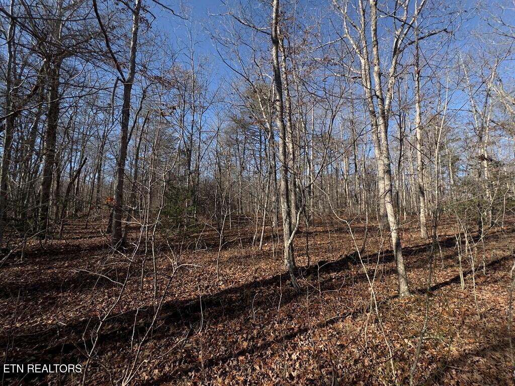 0 Anne Road Monterey TN 38574