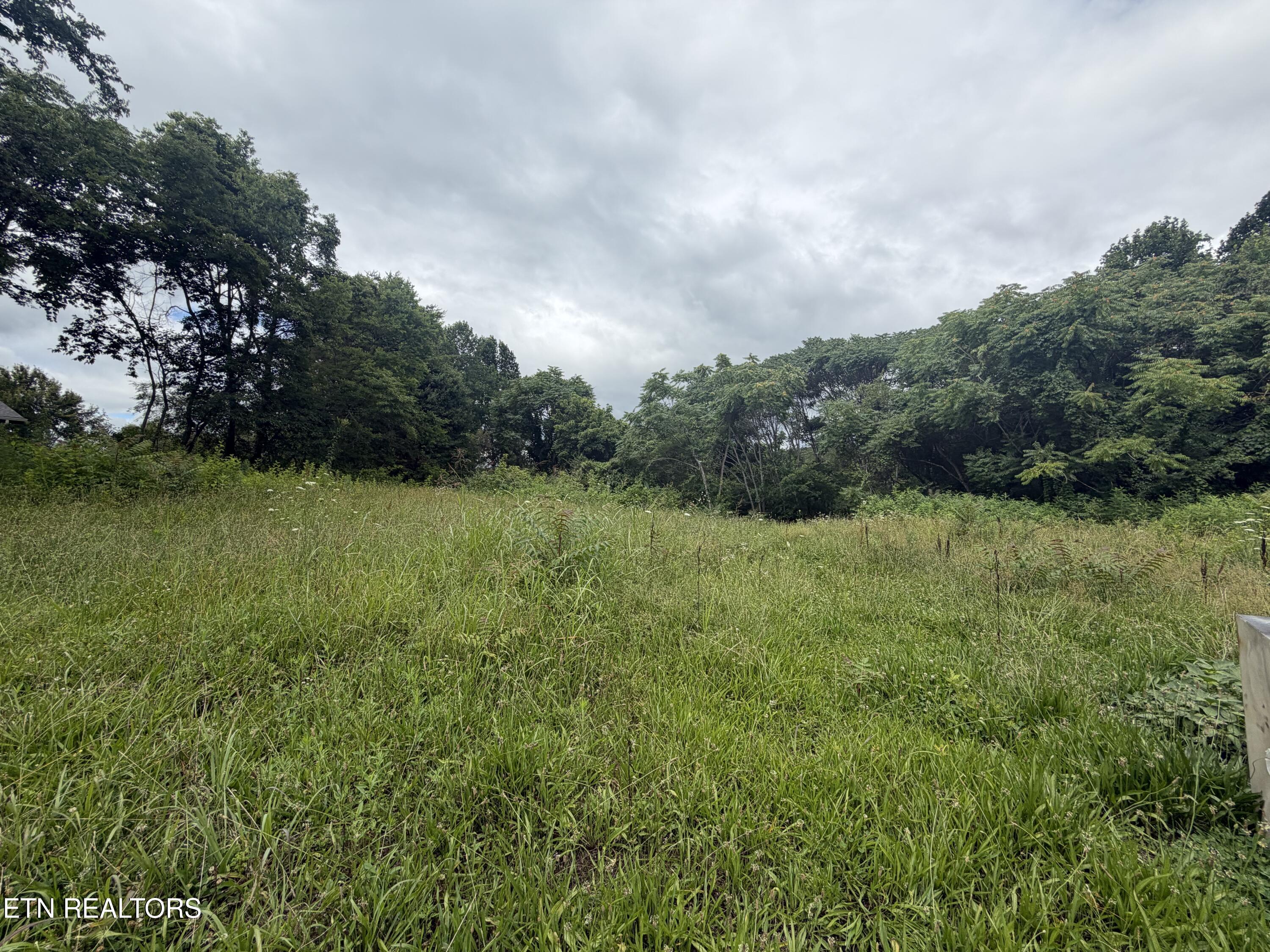 143 Moser Lane Clinton TN 37716