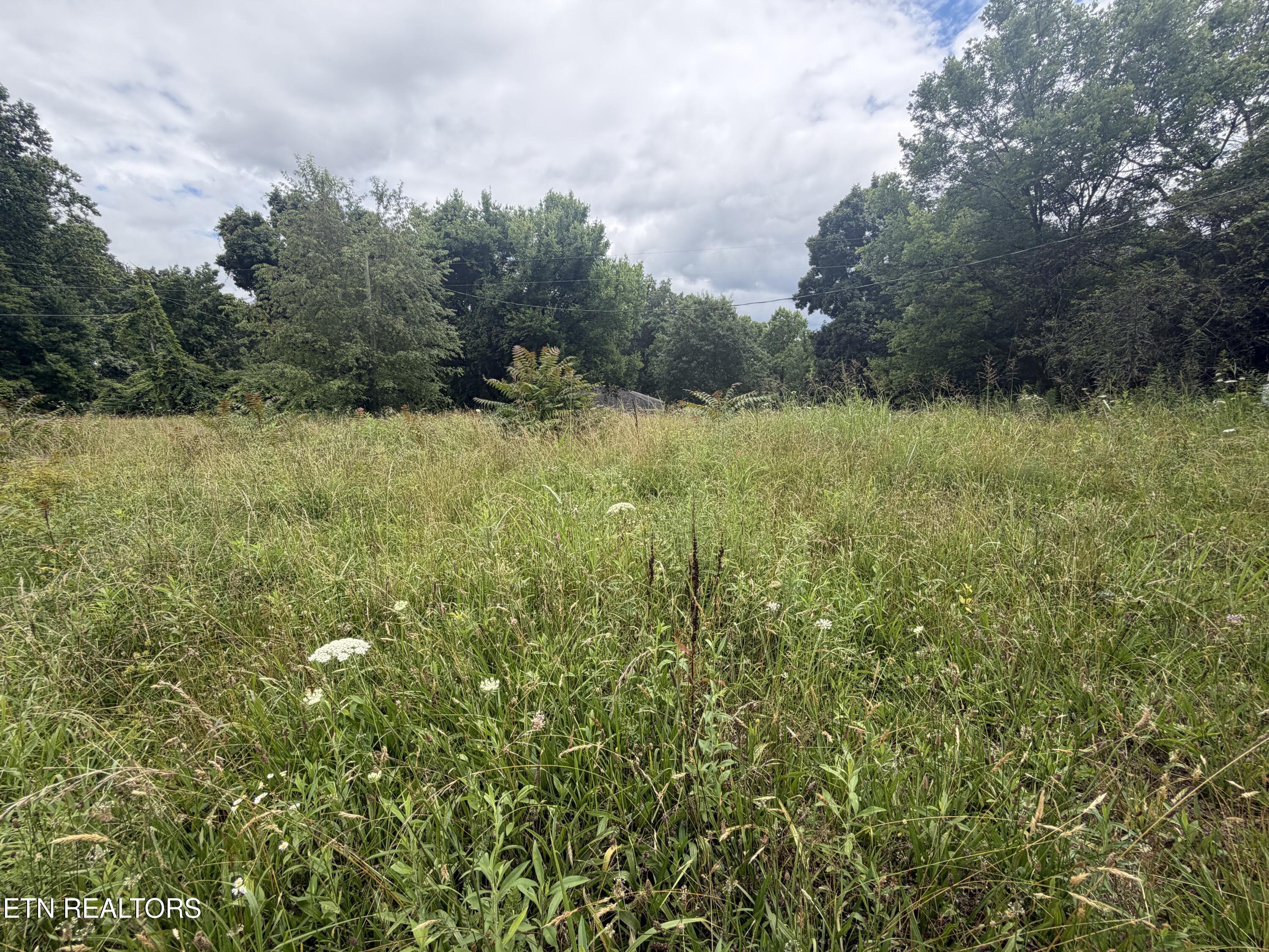 143 Moser Lane Clinton TN 37716