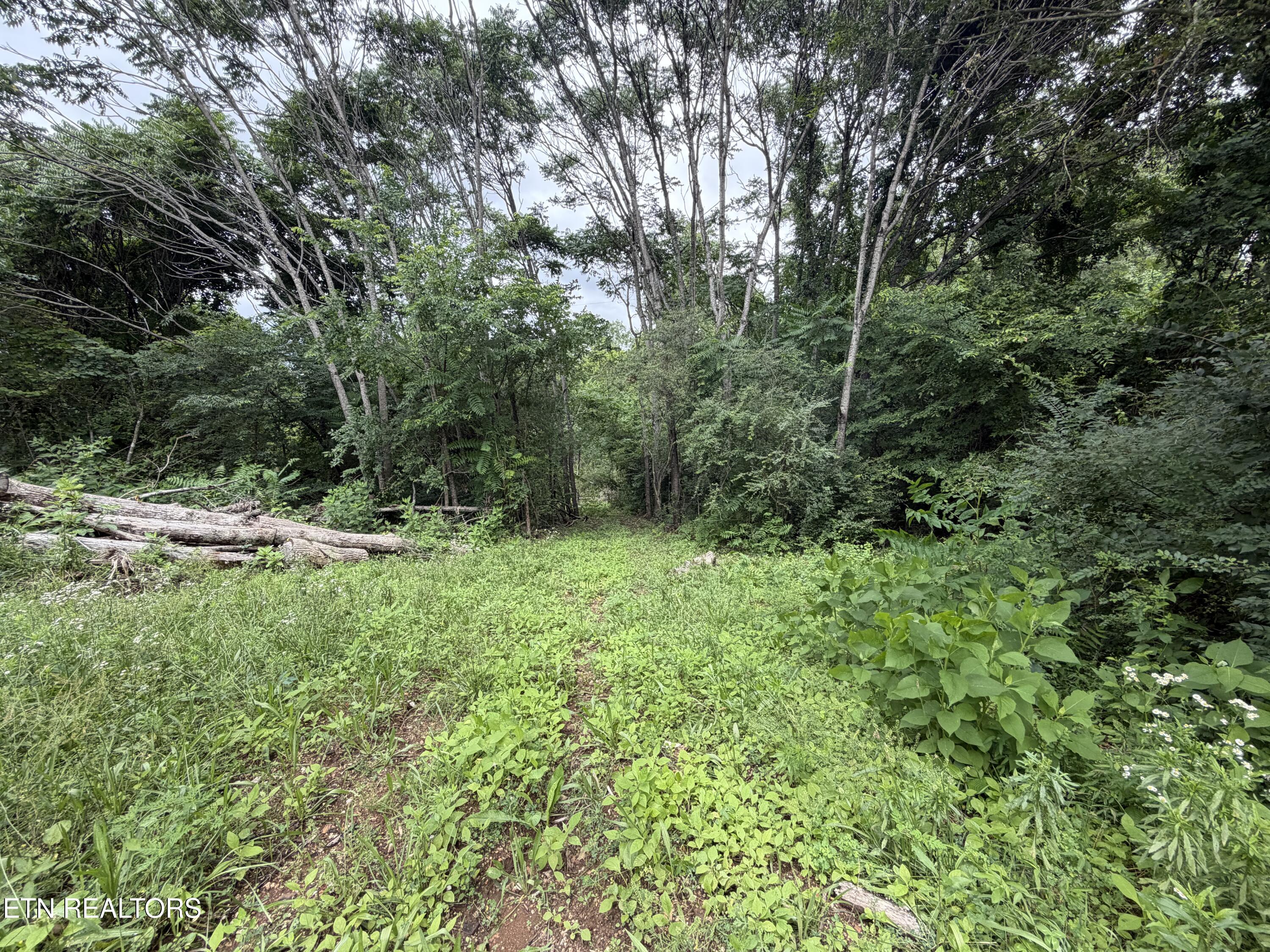 143 Moser Lane Clinton TN 37716