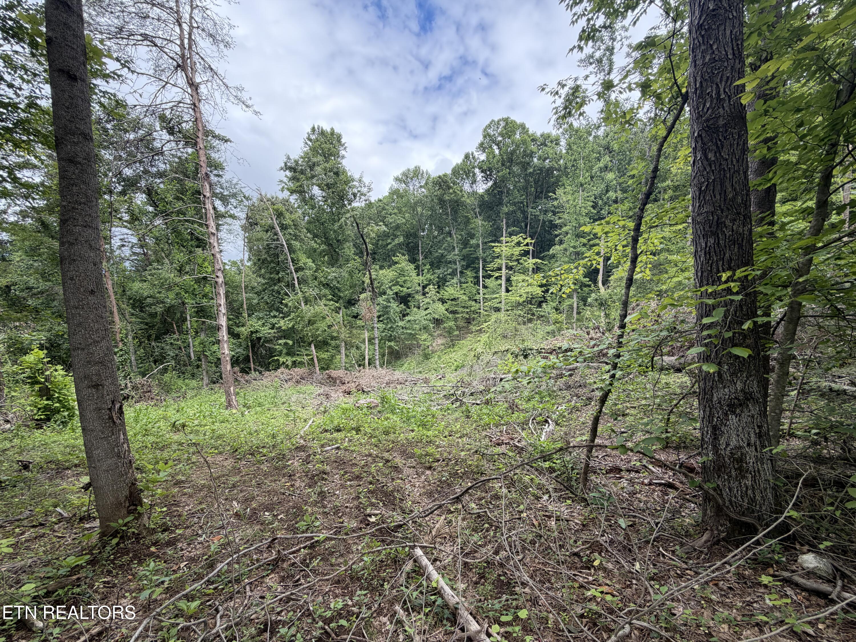 143 Moser Lane Clinton TN 37716