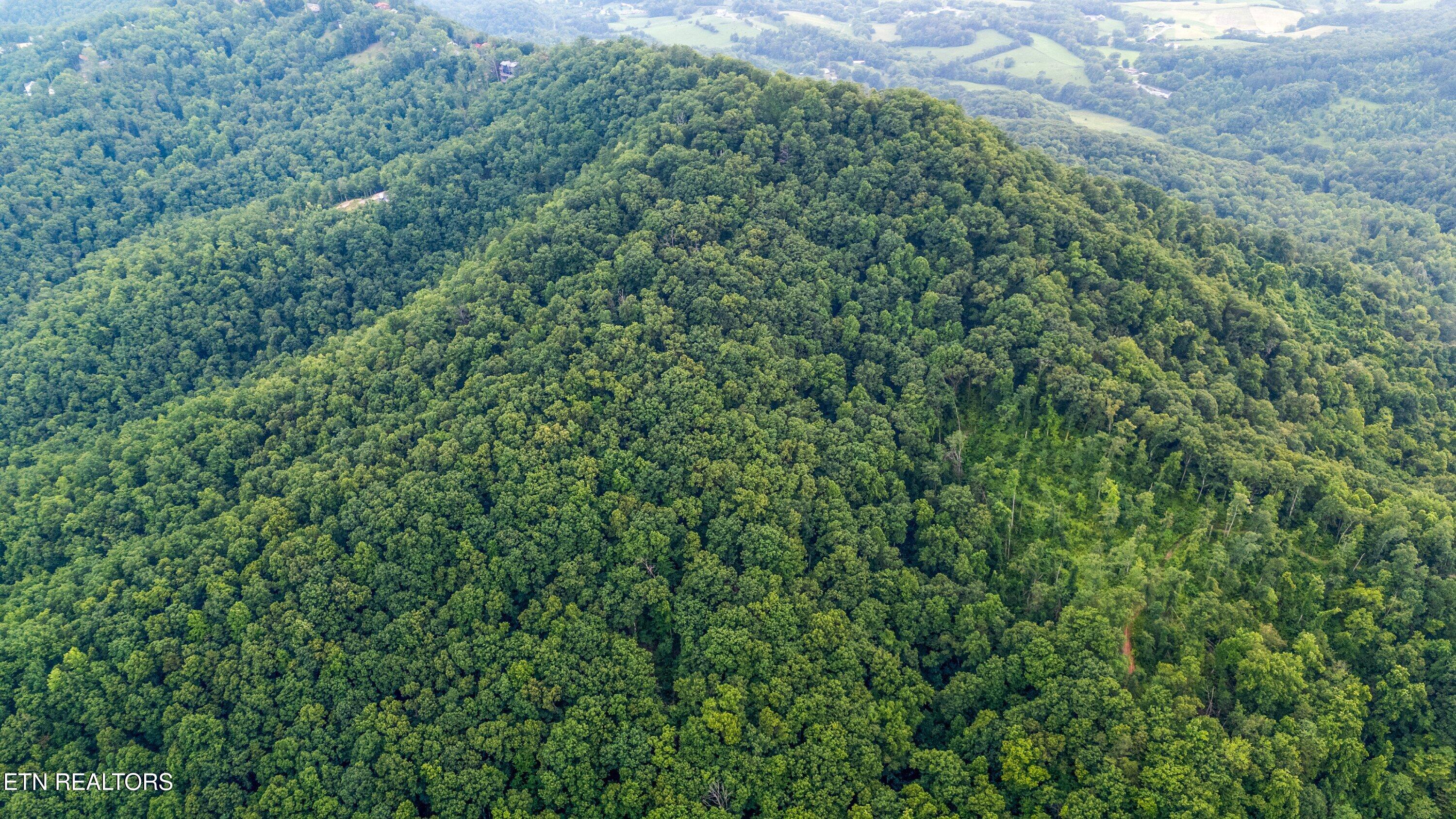 5 Shell Mountain Road Sevierville TN 37876