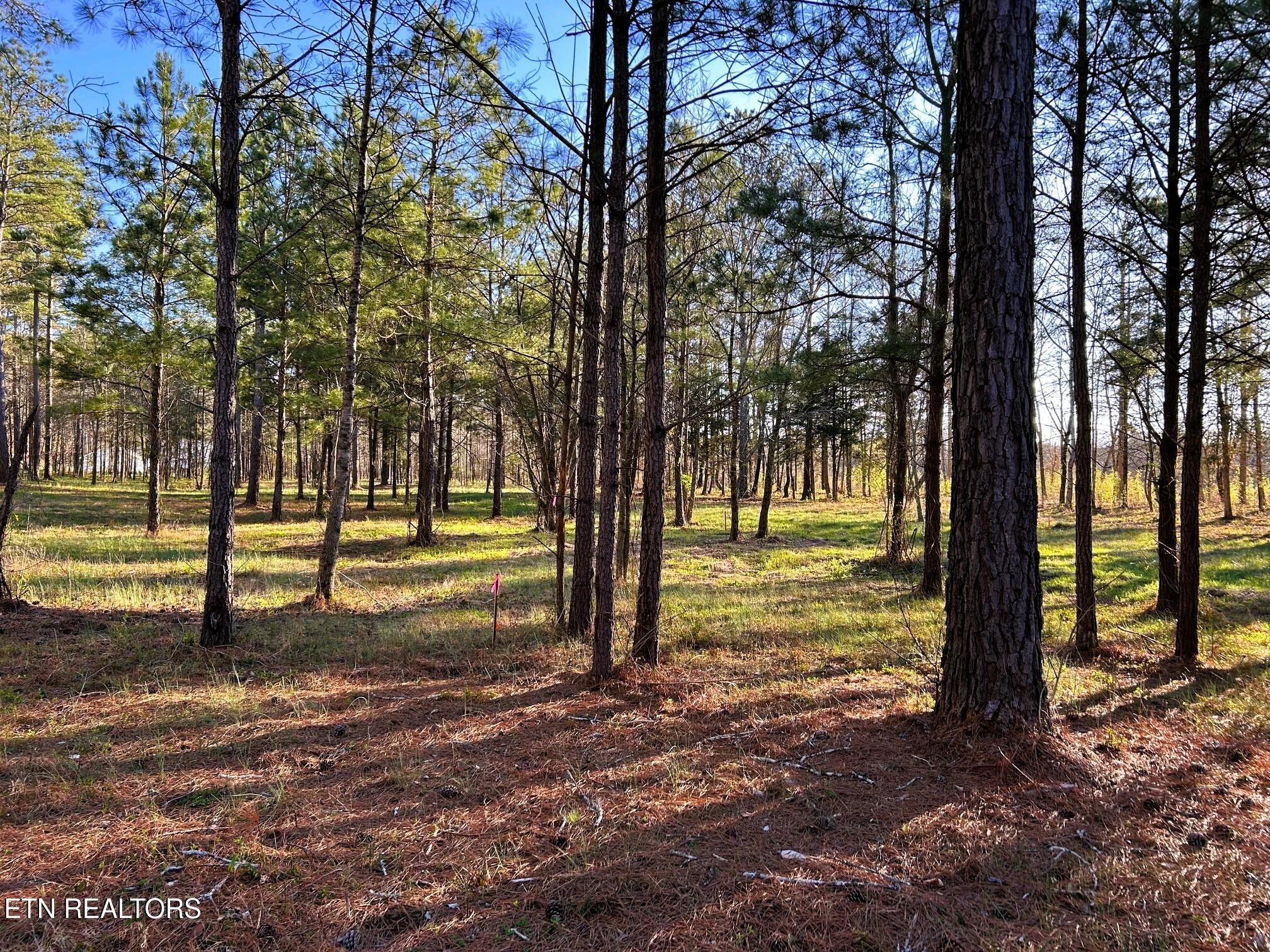 Lot 4 County Road 950 Calhoun TN 37309