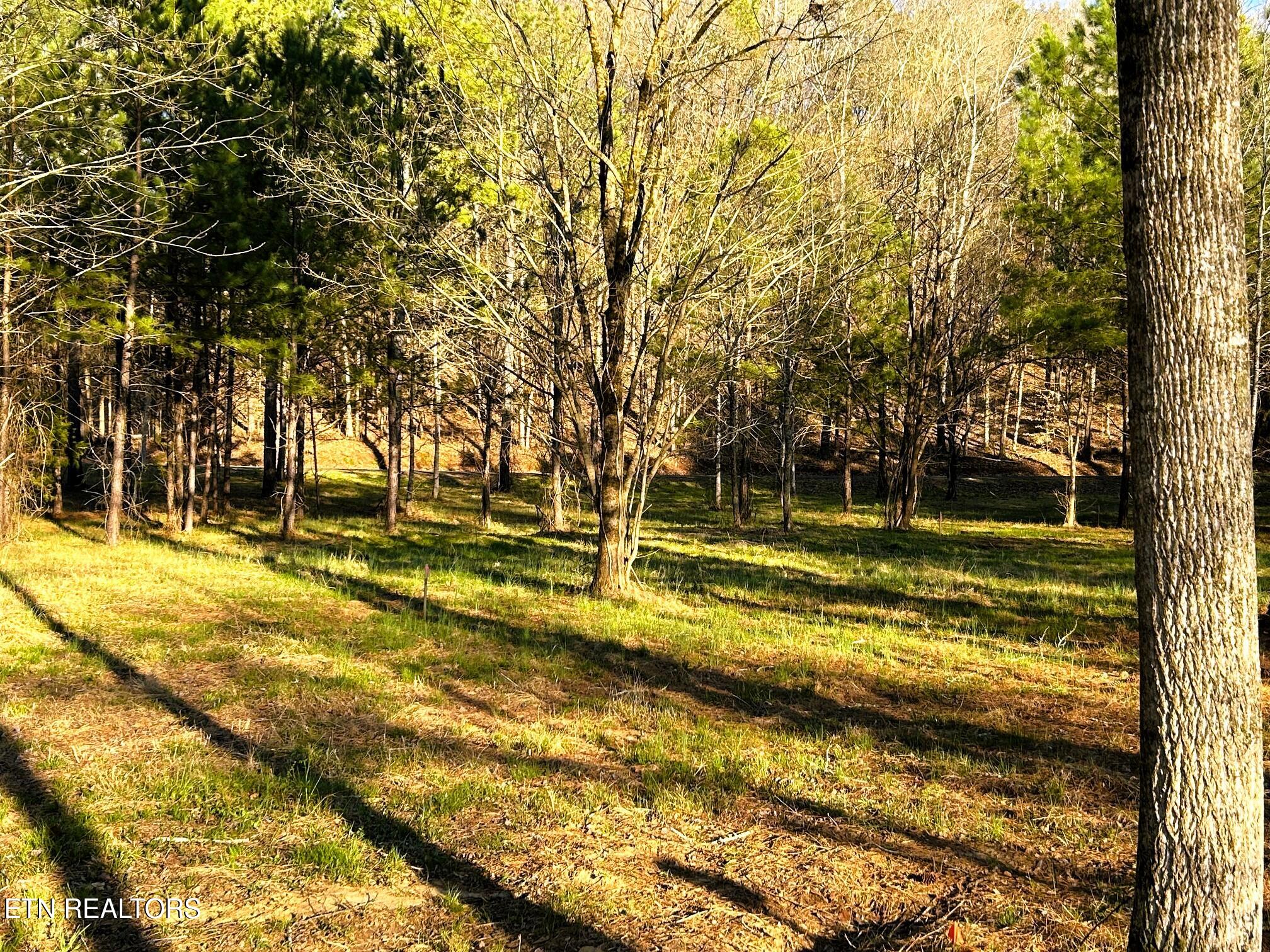 Lot 4 County Road 950 Calhoun TN 37309