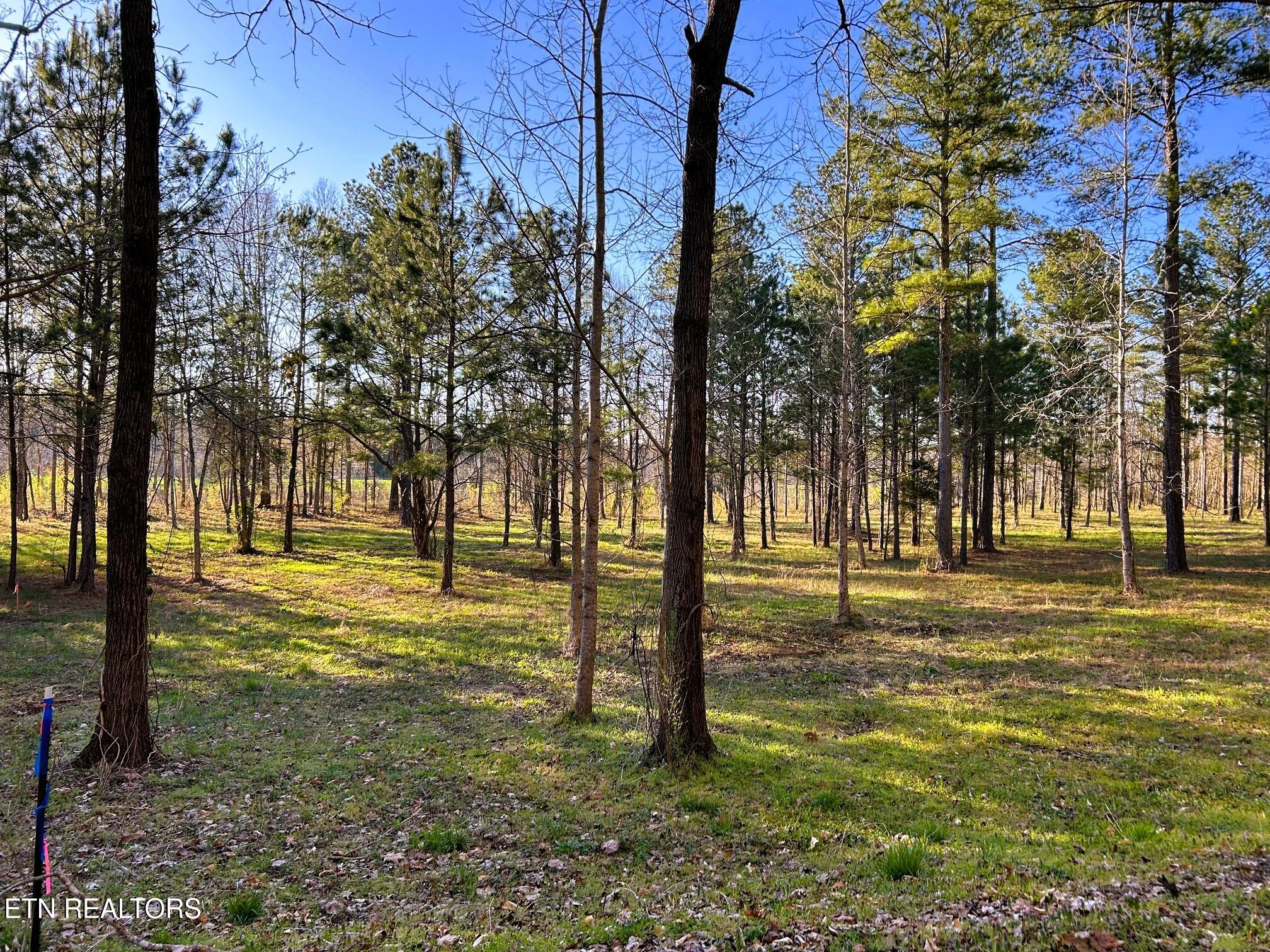 Lot 4 County Road 950 Calhoun TN 37309