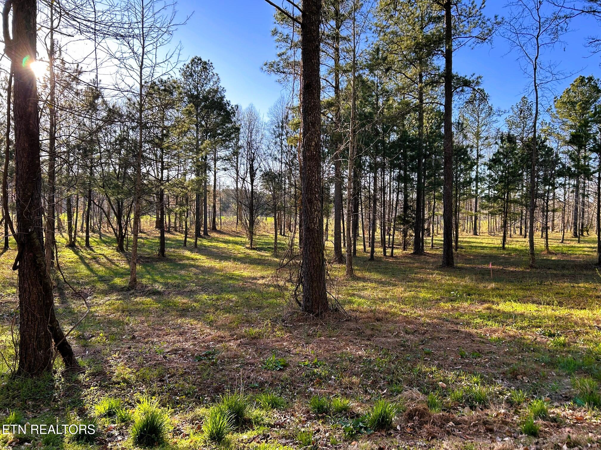 Lot 4 County Road 950 Calhoun TN 37309