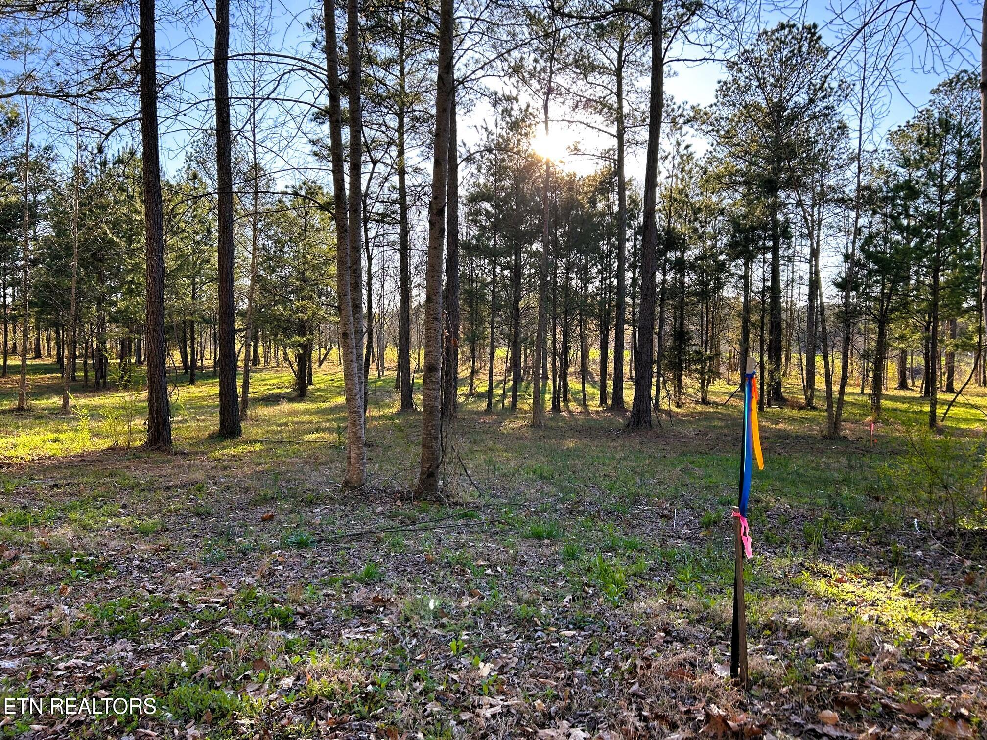 Lot 4 County Road 950 Calhoun TN 37309