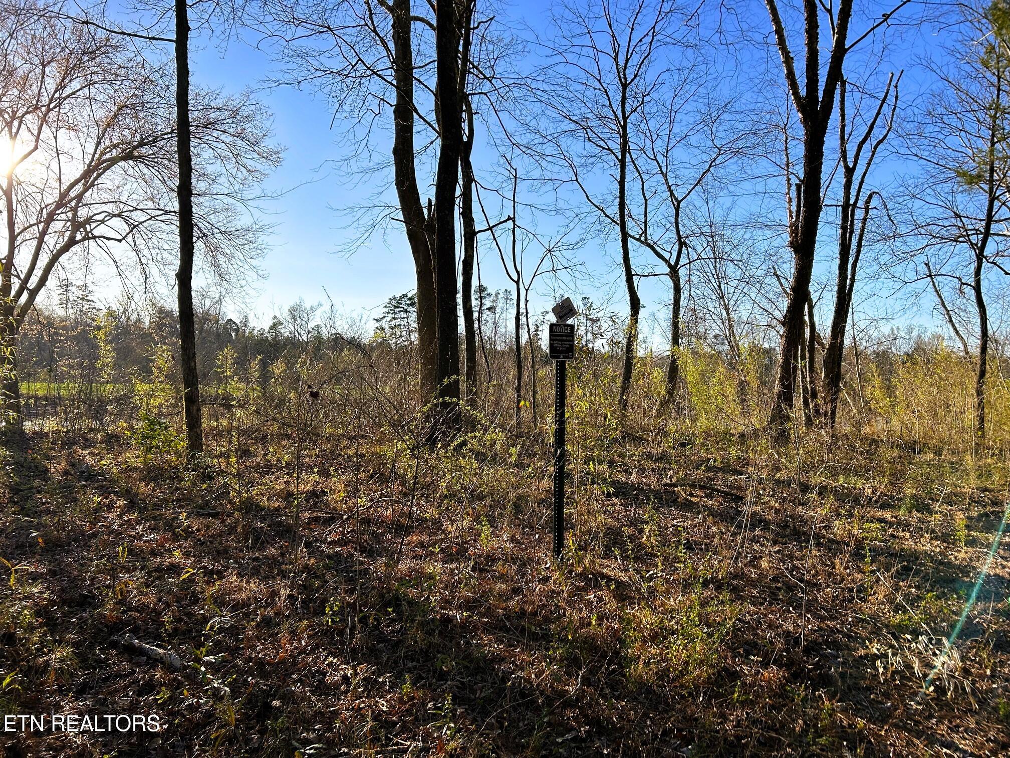 Lot 4 County Road 950 Calhoun TN 37309