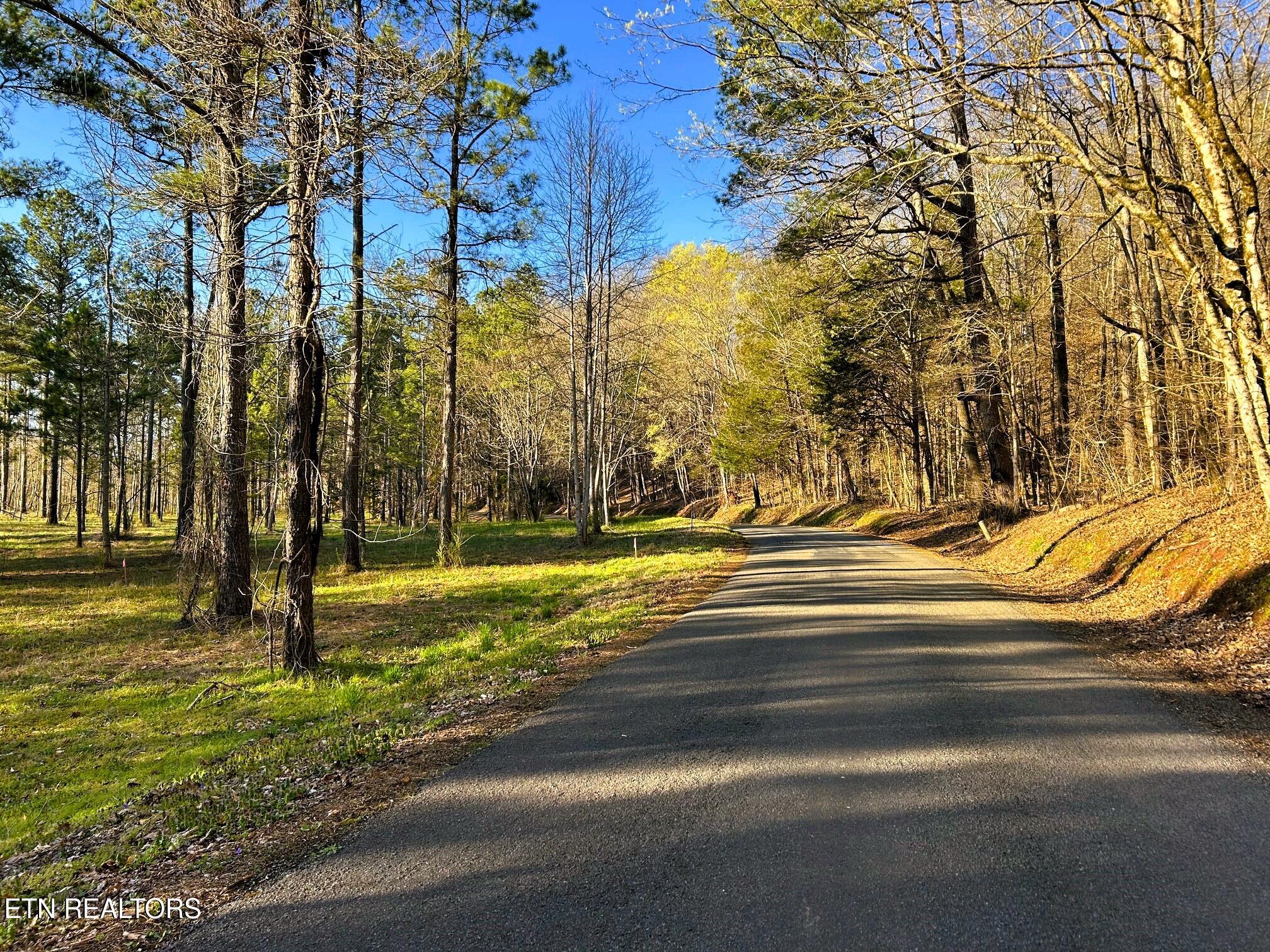 Lot 4 County Road 950 Calhoun TN 37309