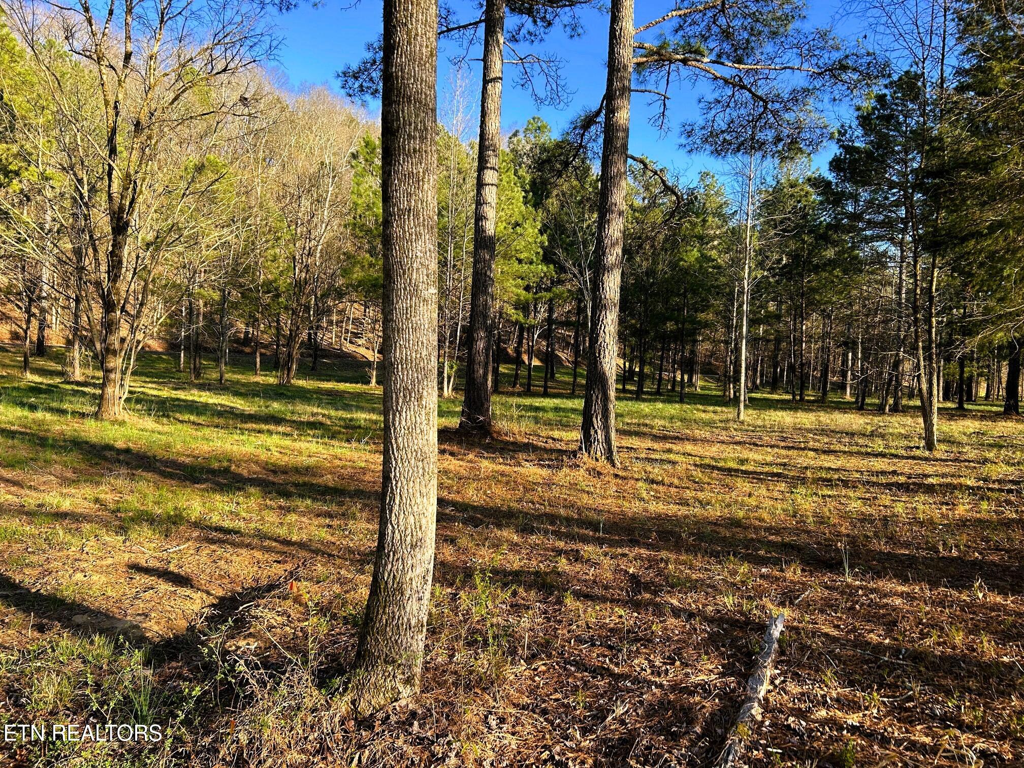 Lot 4 County Road 950 Calhoun TN 37309