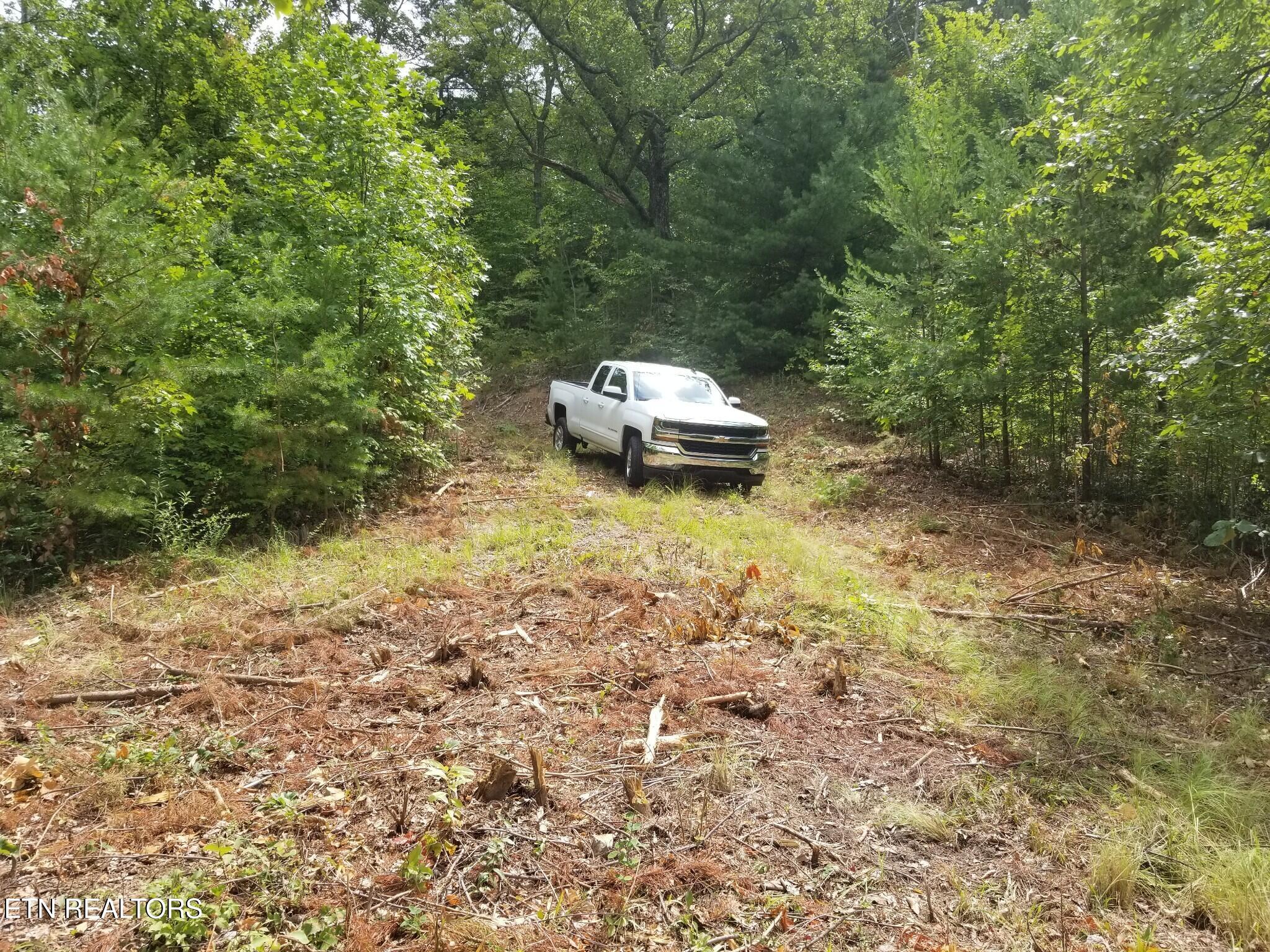 0 Fern Point Drive Sevierville TN 37862