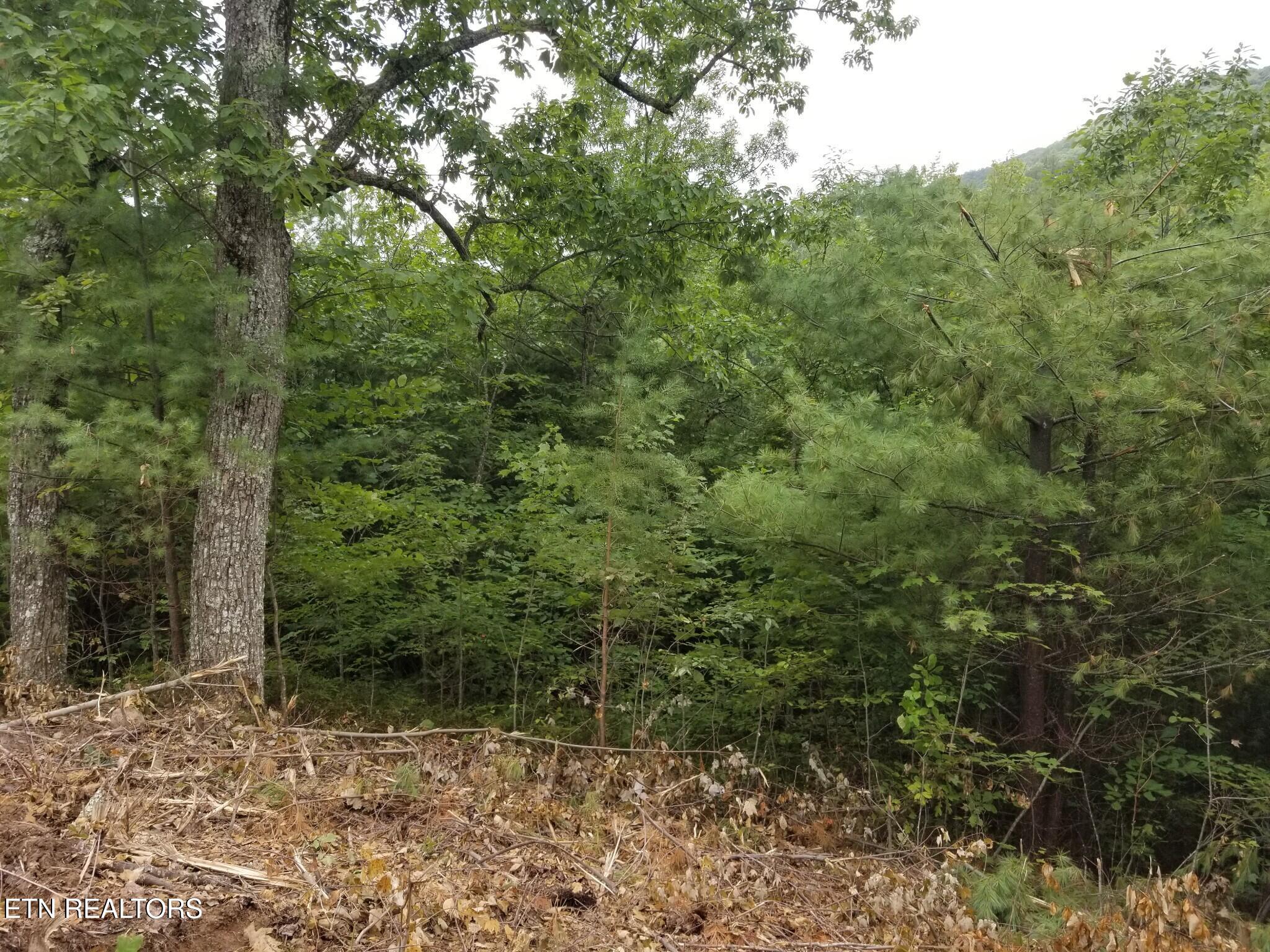 0 Fern Point Drive Sevierville TN 37862