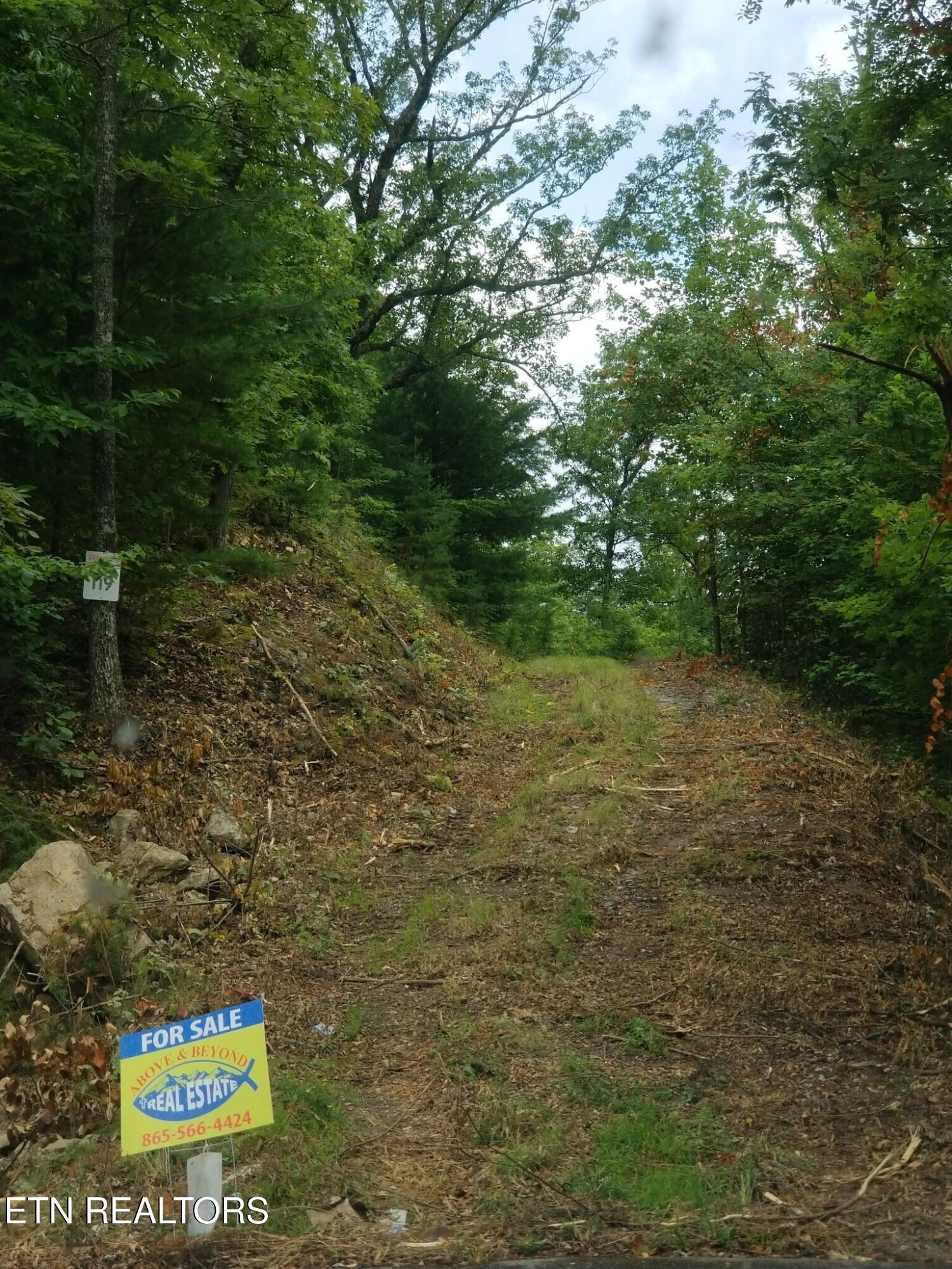 0 Fern Point Drive Sevierville TN 37862