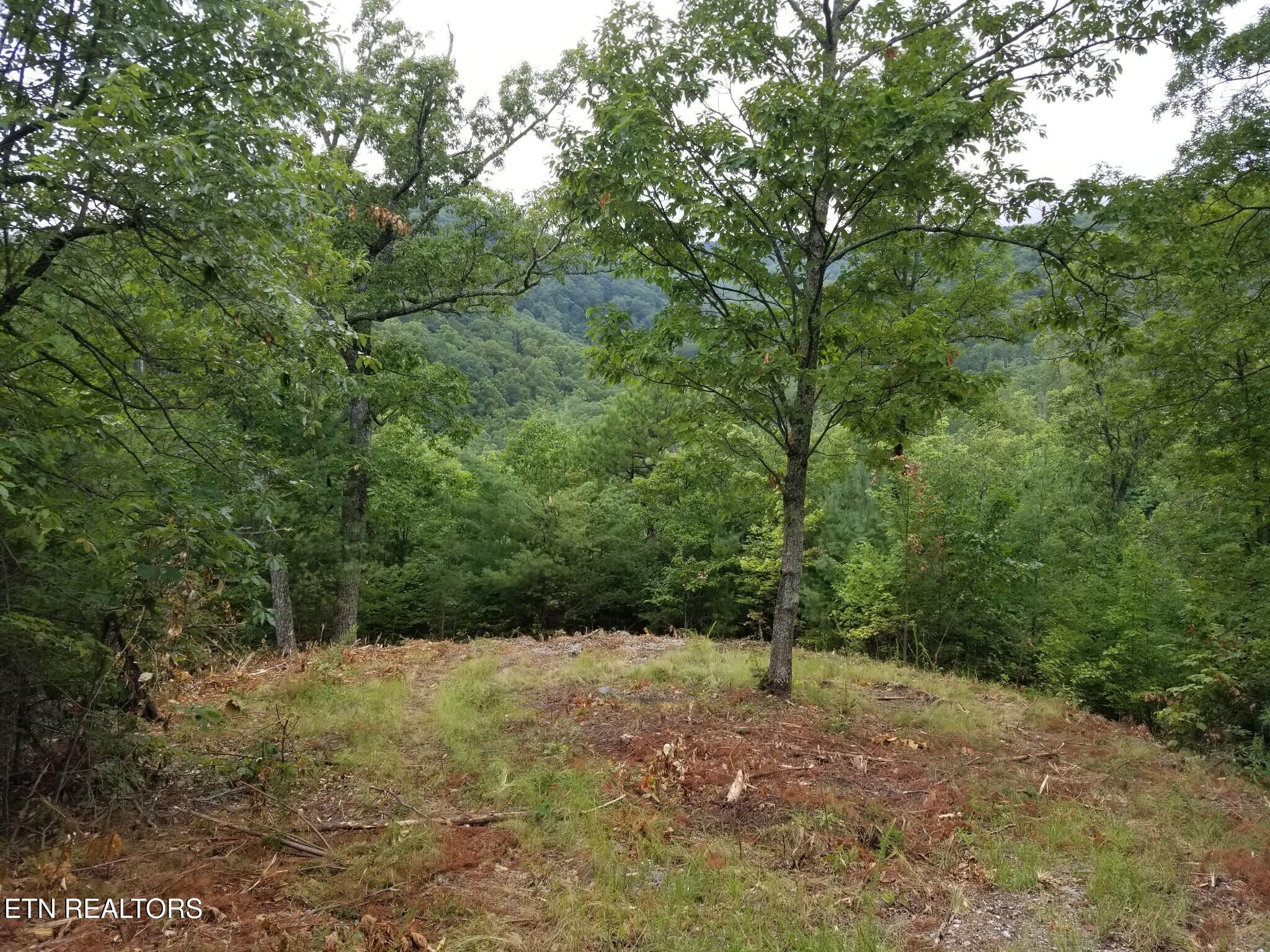 0 Fern Point Drive Sevierville TN 37862