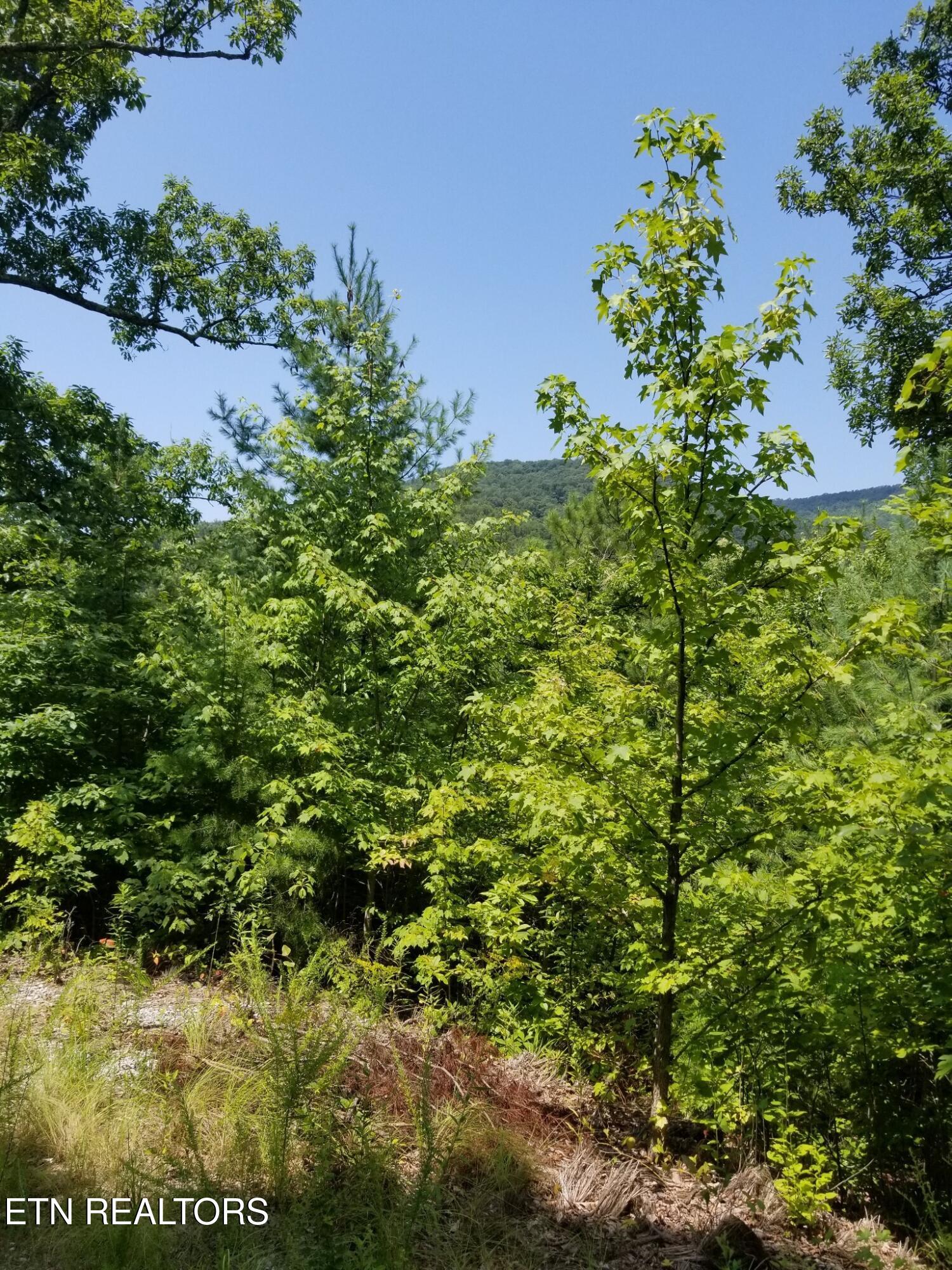 0 Fern Point Drive Sevierville TN 37862