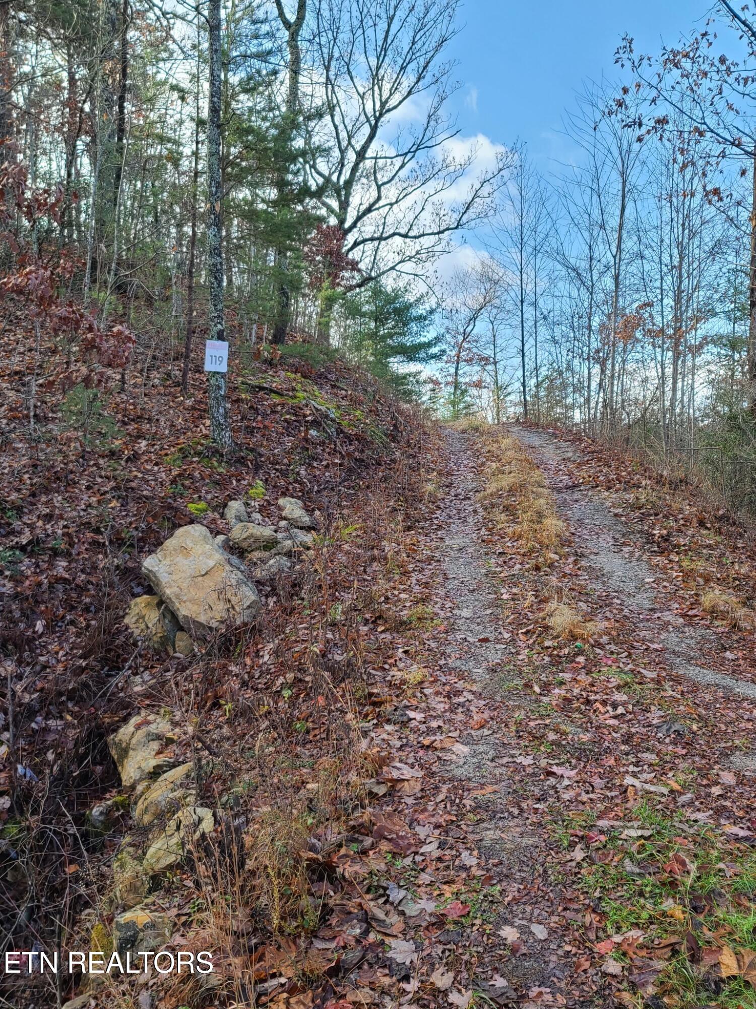 0 Fern Point Drive Sevierville TN 37862