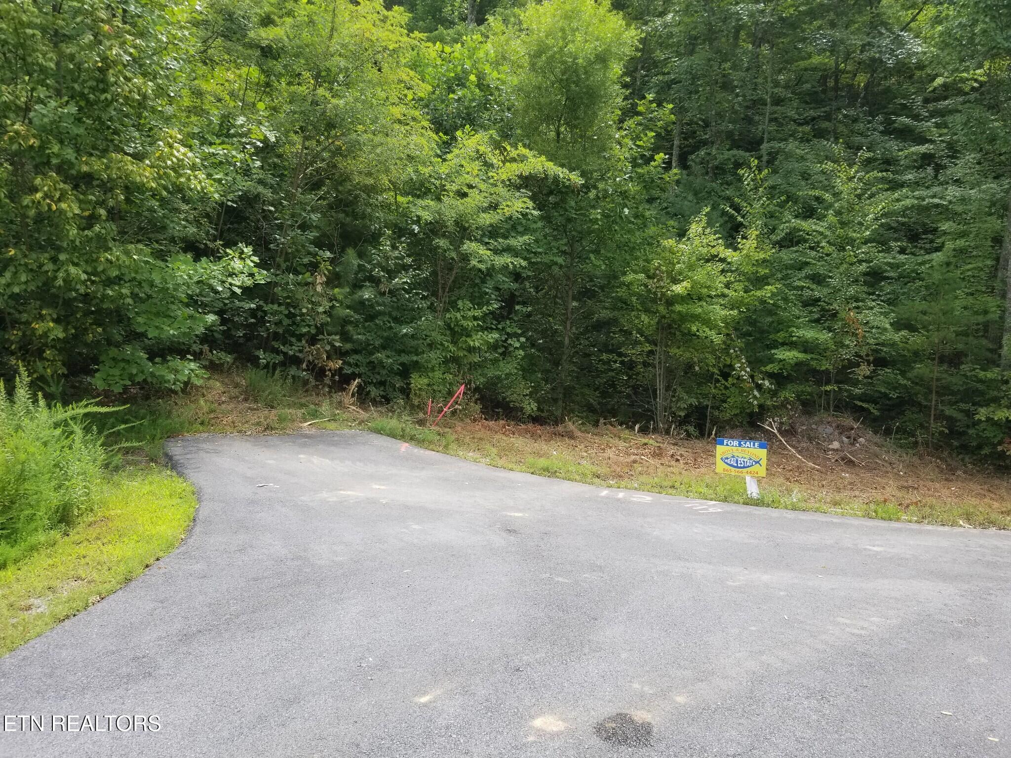 0 Fern Point Drive Sevierville TN 37862